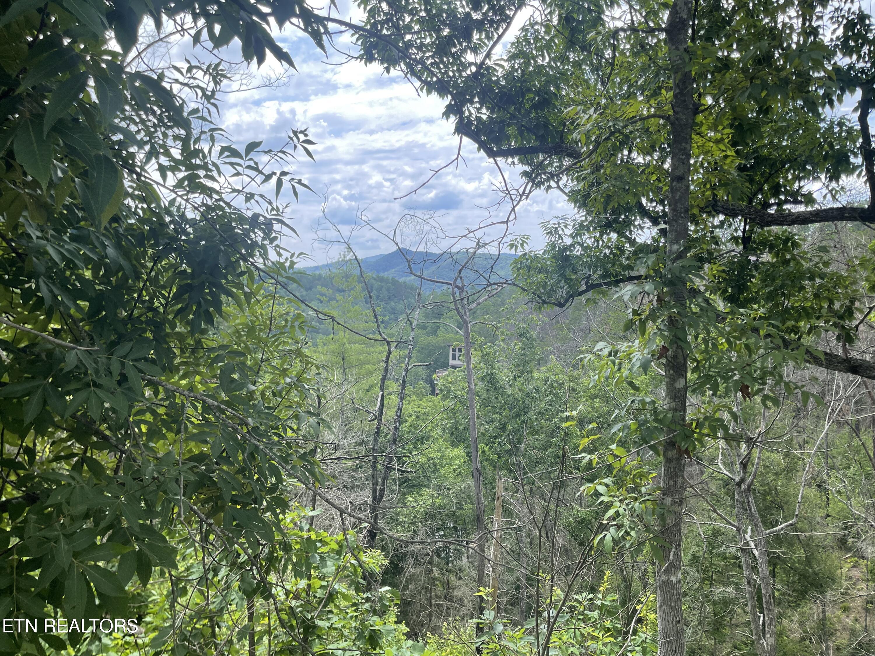 River Birch Way Sevierville TN 37862