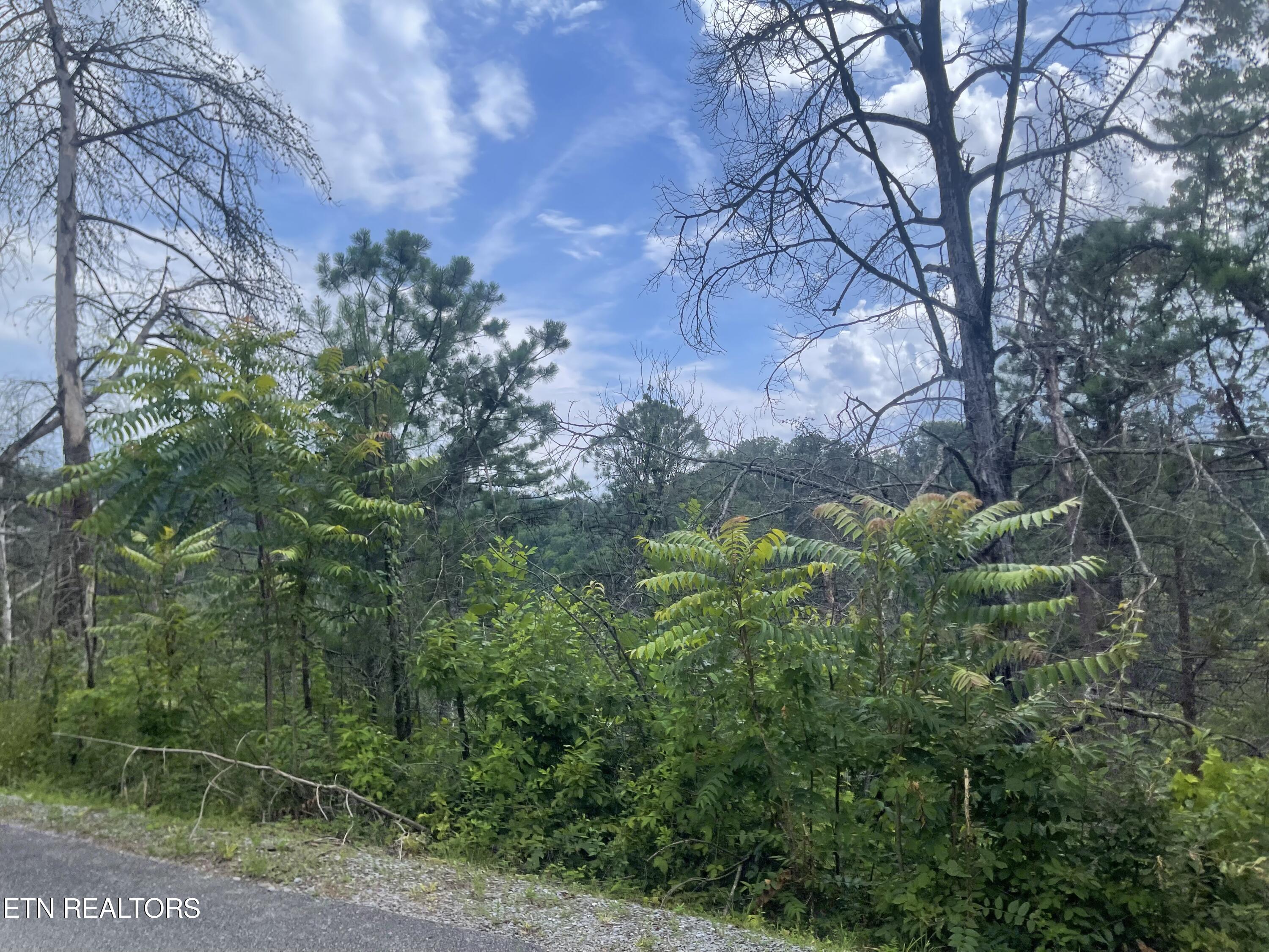 River Birch Way Sevierville TN 37862