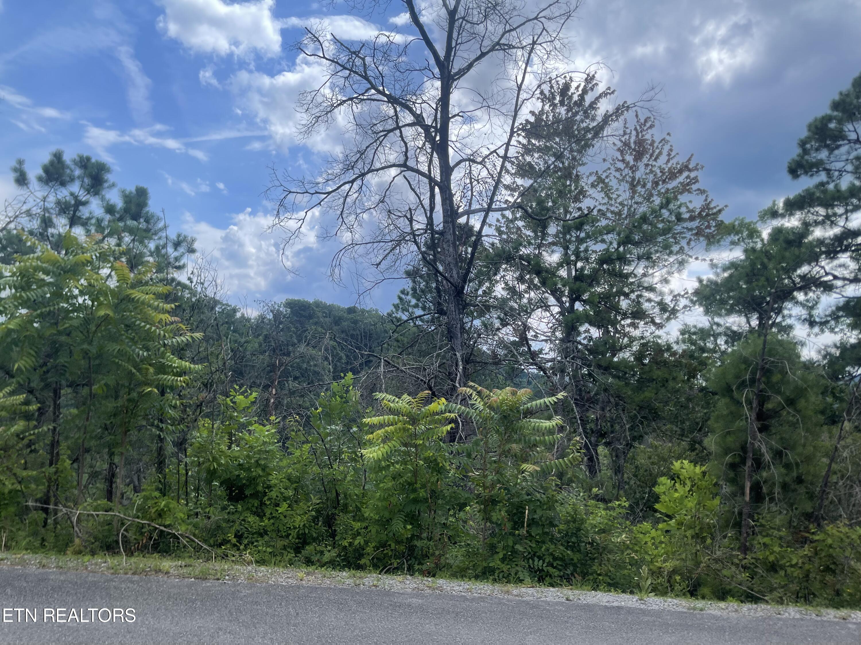 River Birch Way Sevierville TN 37862