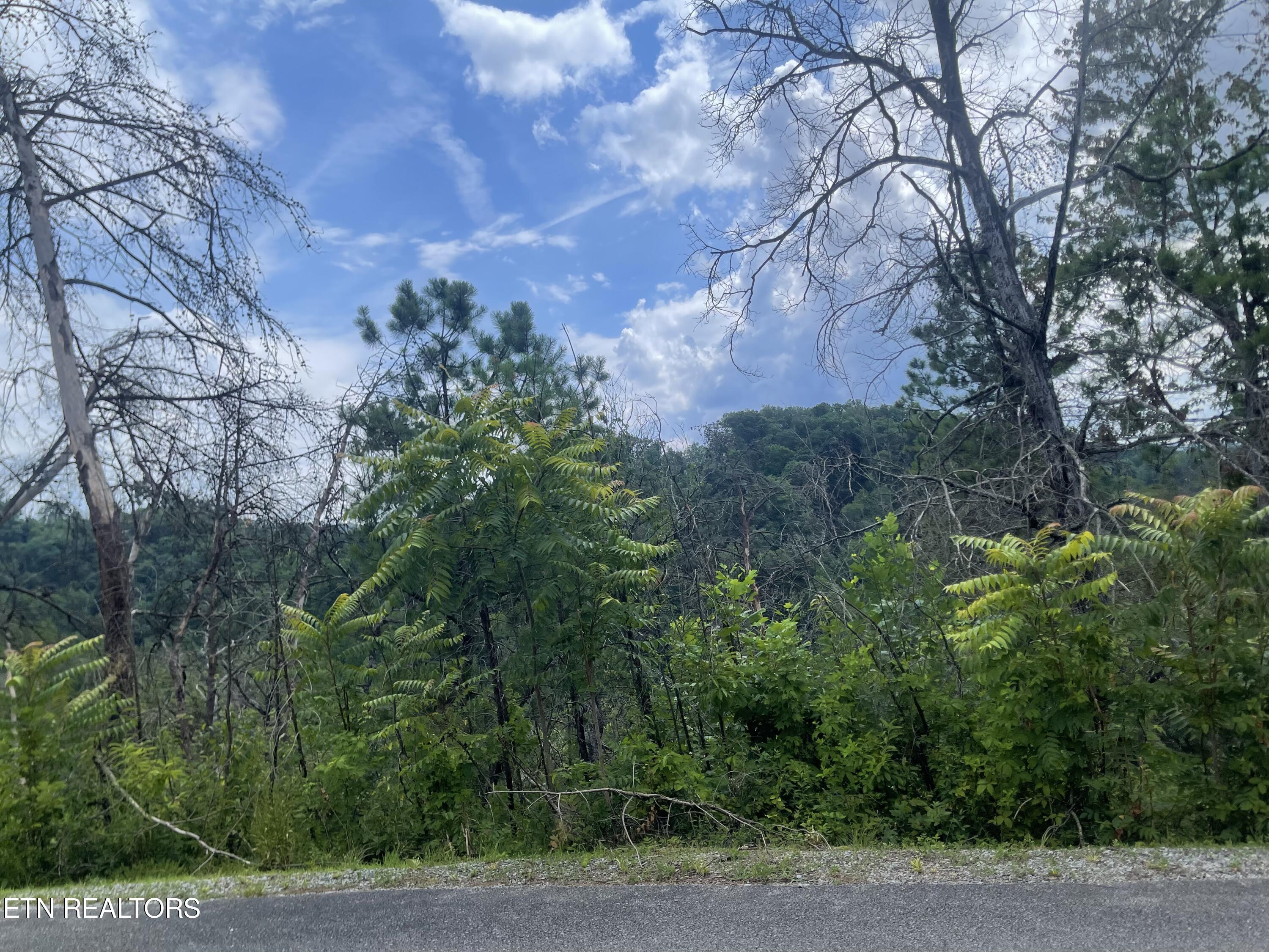 River Birch Way Sevierville TN 37862
