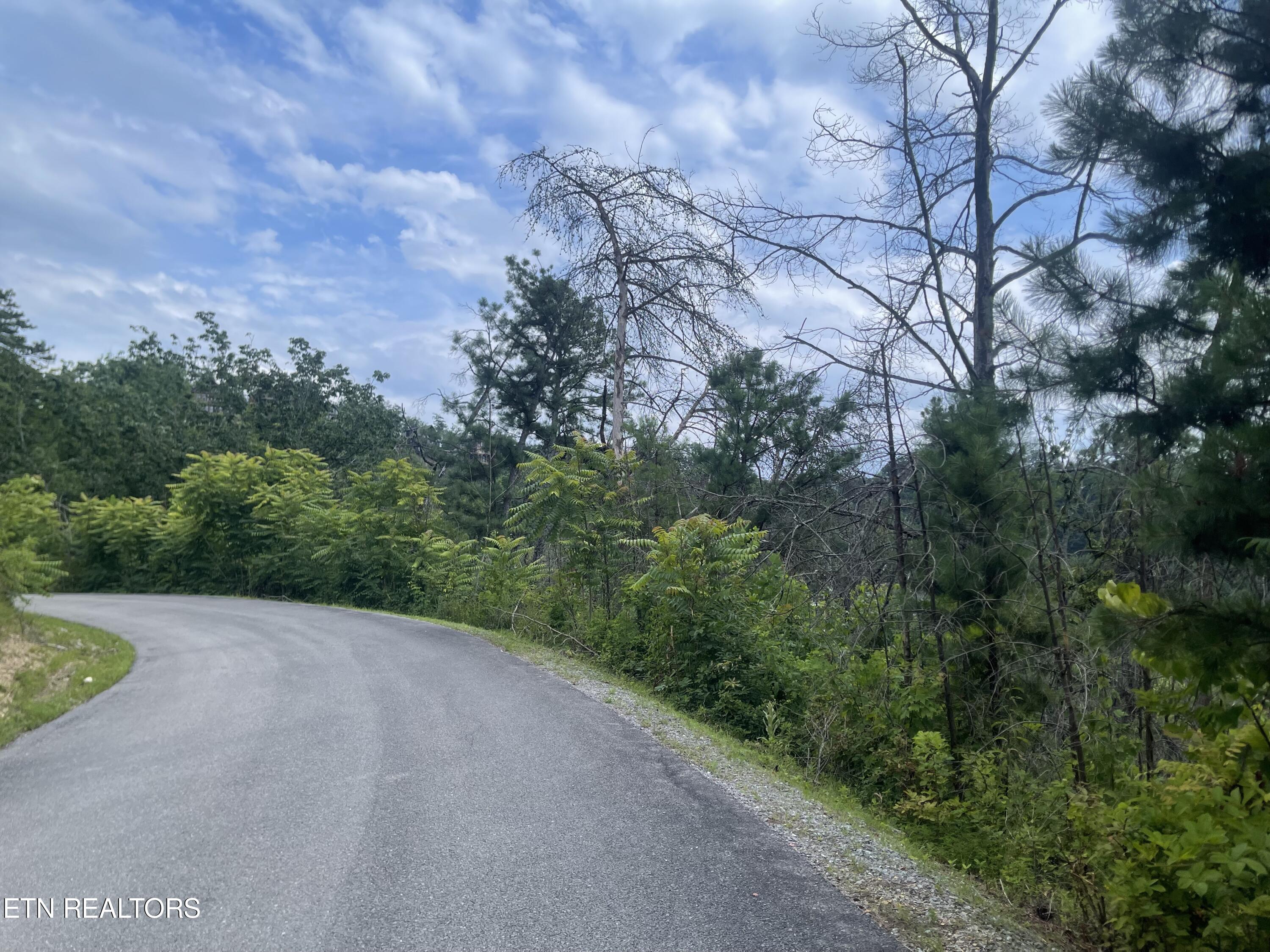River Birch Way Sevierville TN 37862