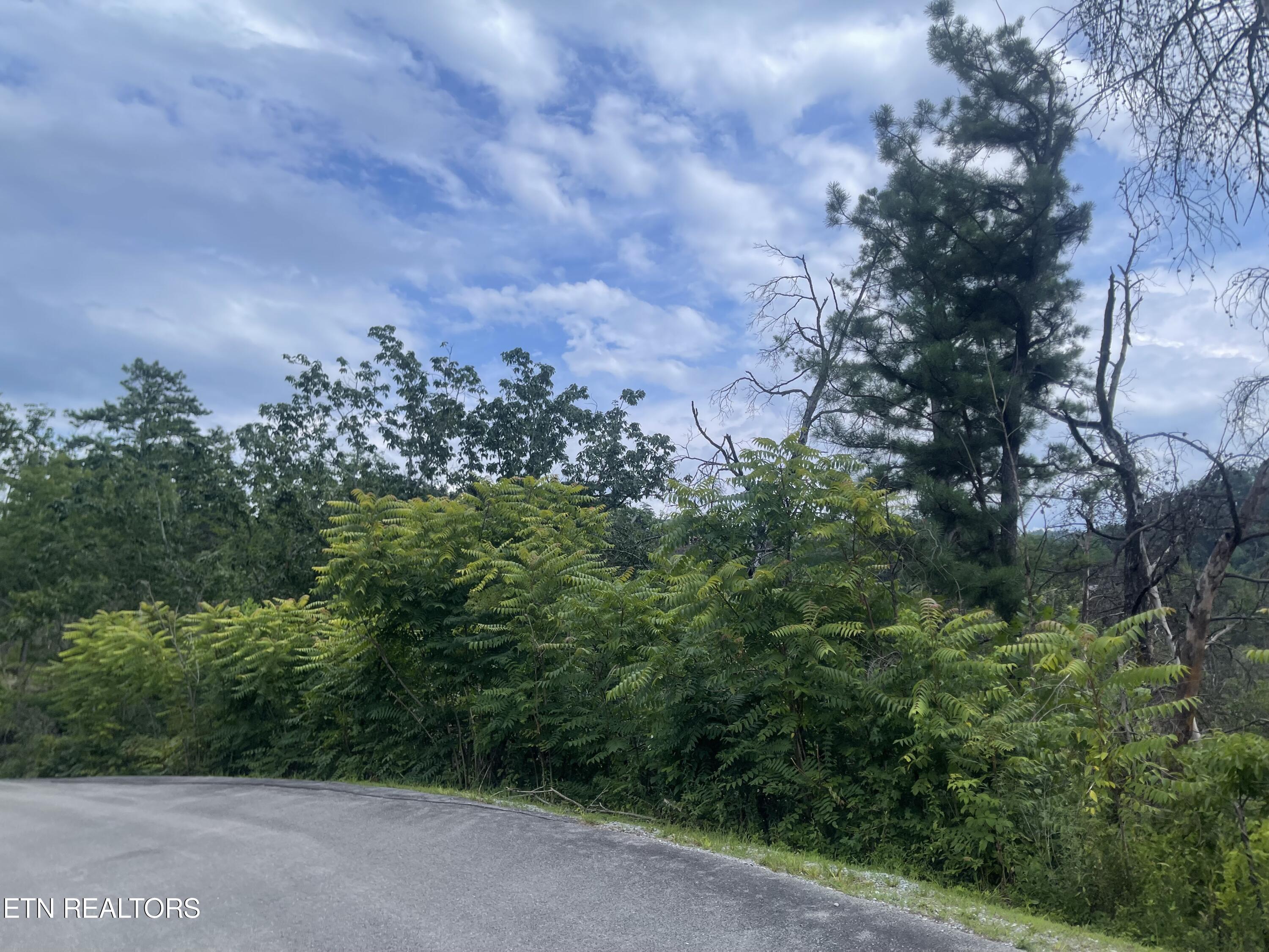 River Birch Way Sevierville TN 37862