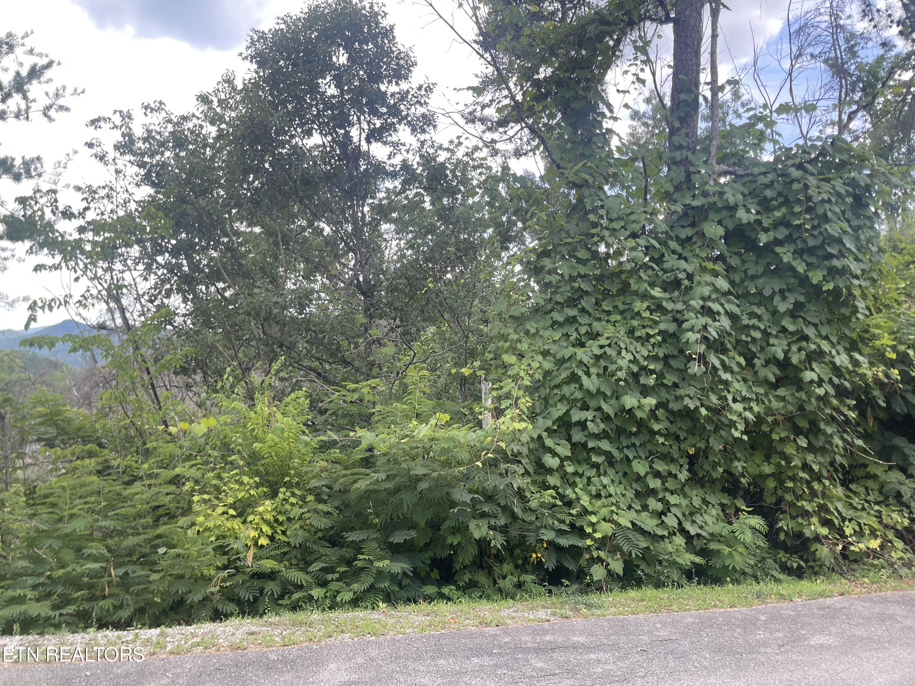 River Birch Way Sevierville TN 37862