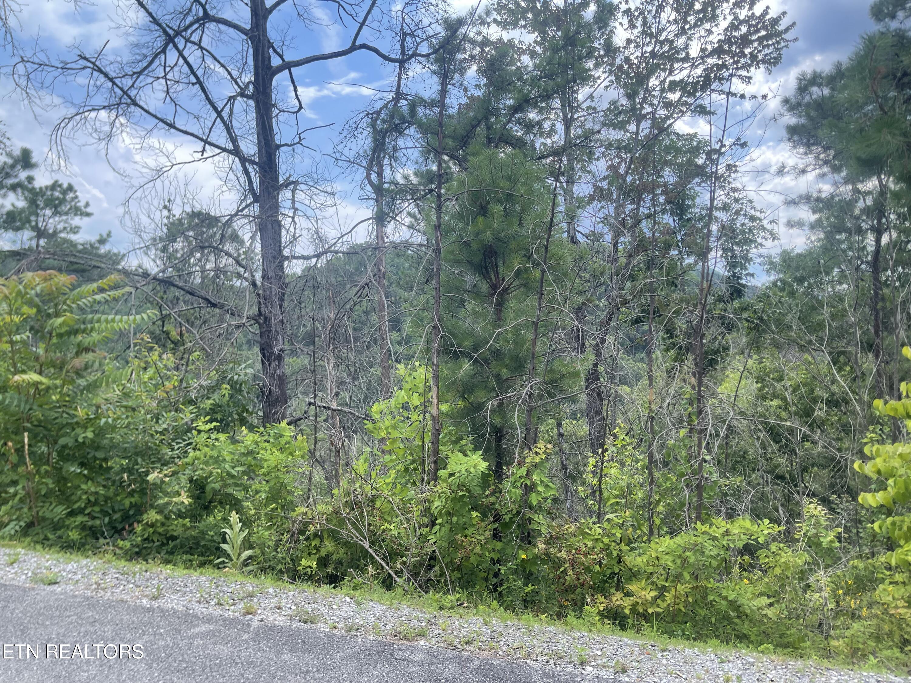 River Birch Way Sevierville TN 37862