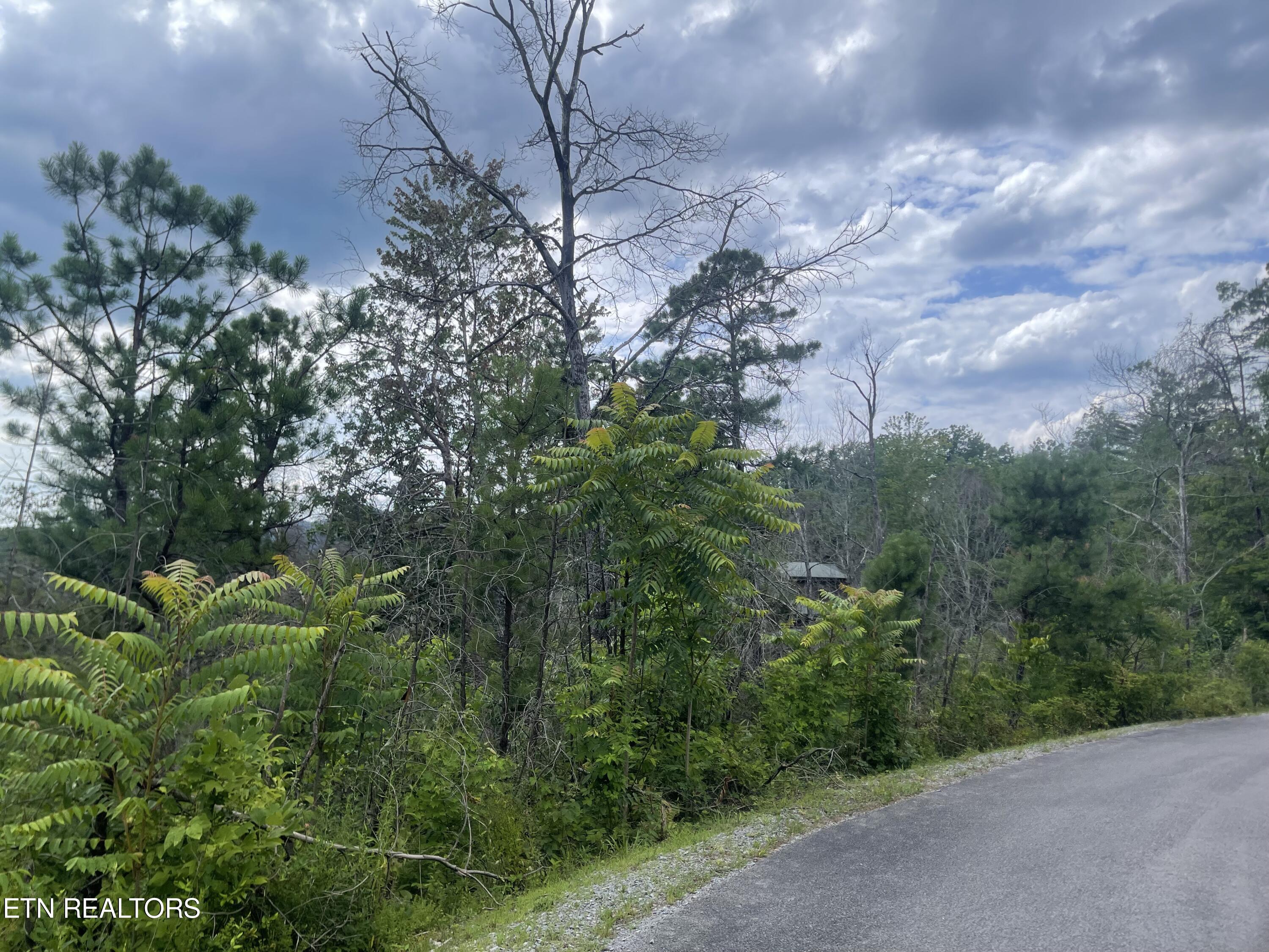 River Birch Way Sevierville TN 37862