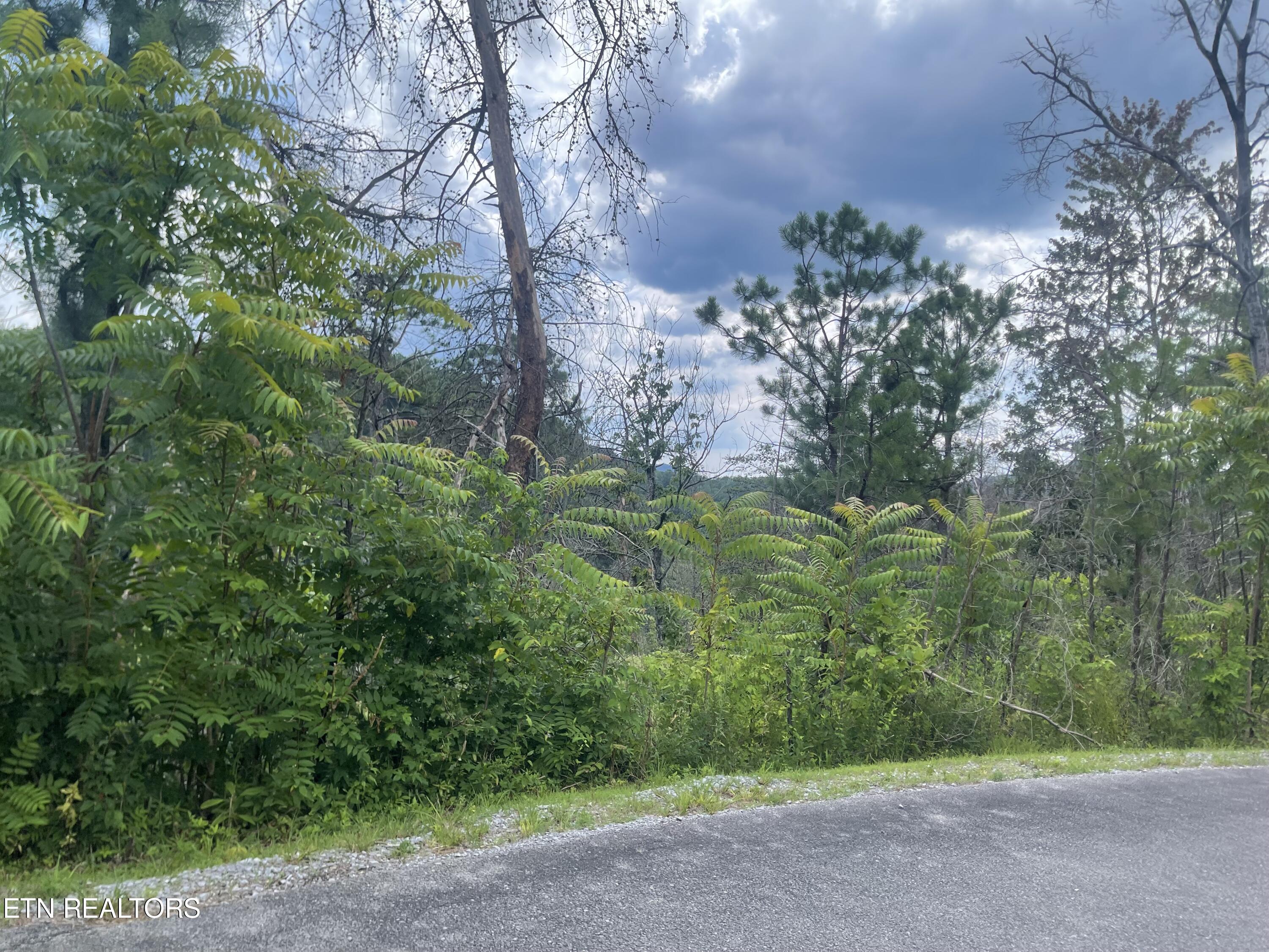 River Birch Way Sevierville TN 37862