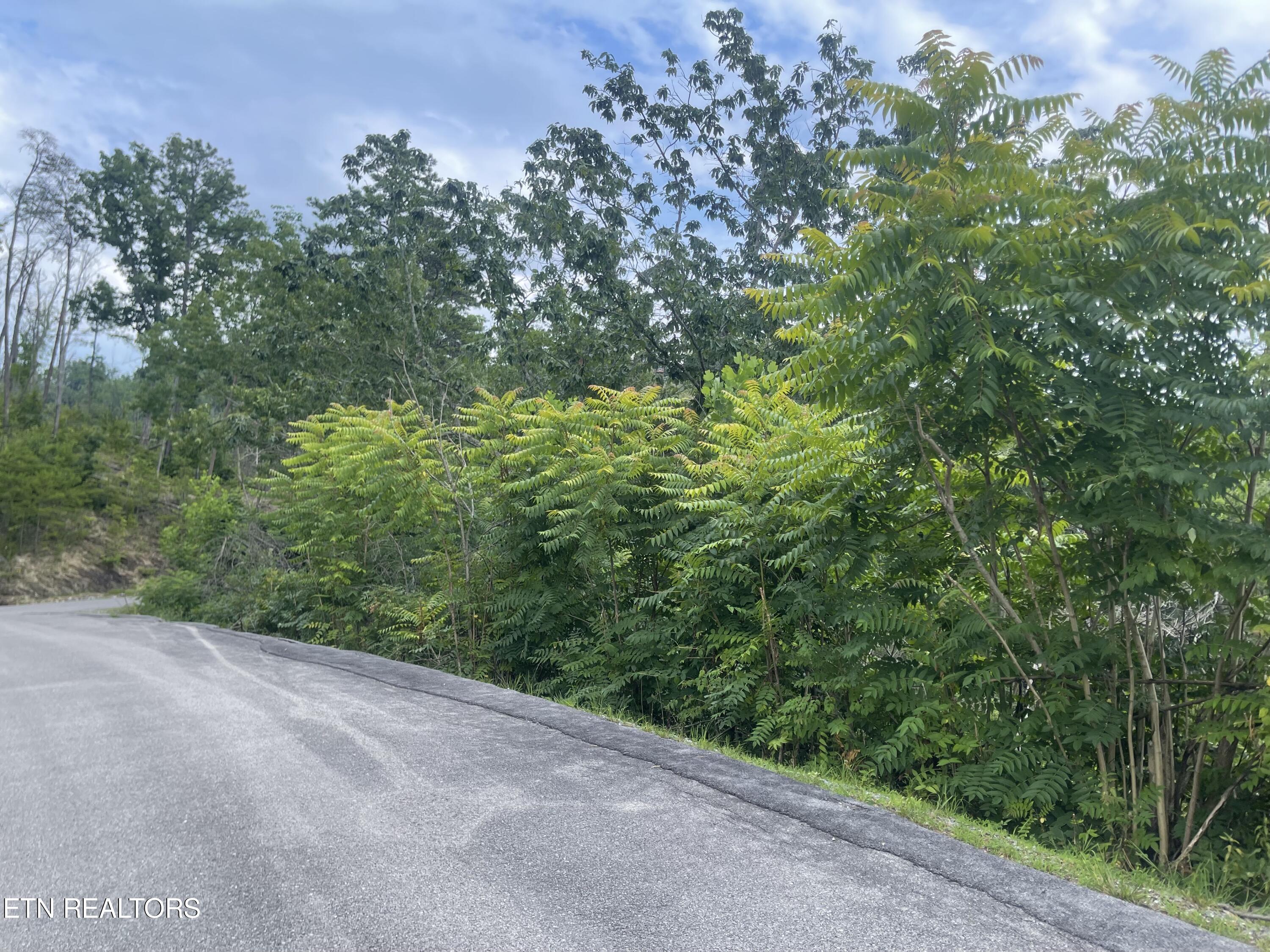 River Birch Way Sevierville TN 37862