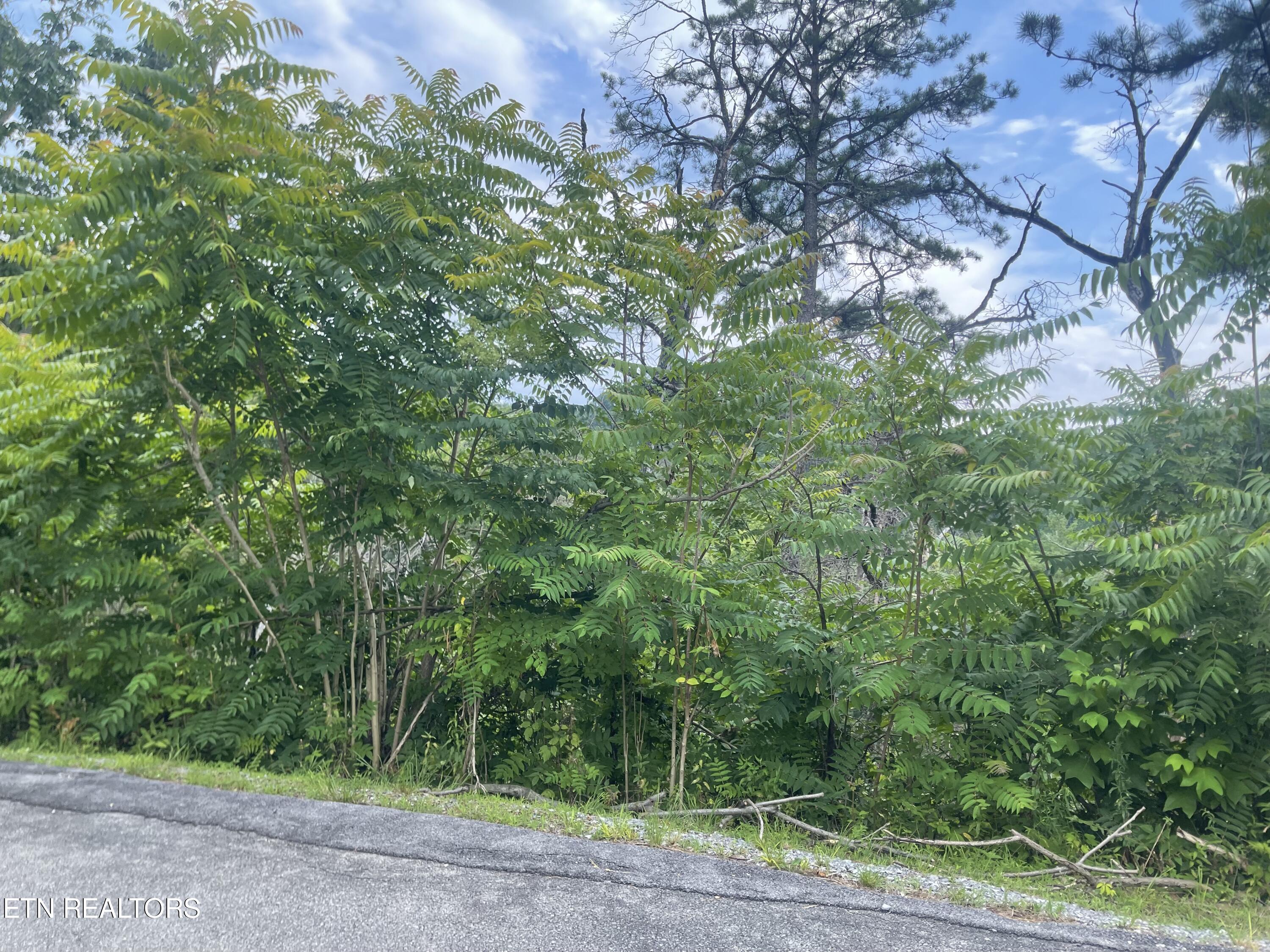 River Birch Way Sevierville TN 37862