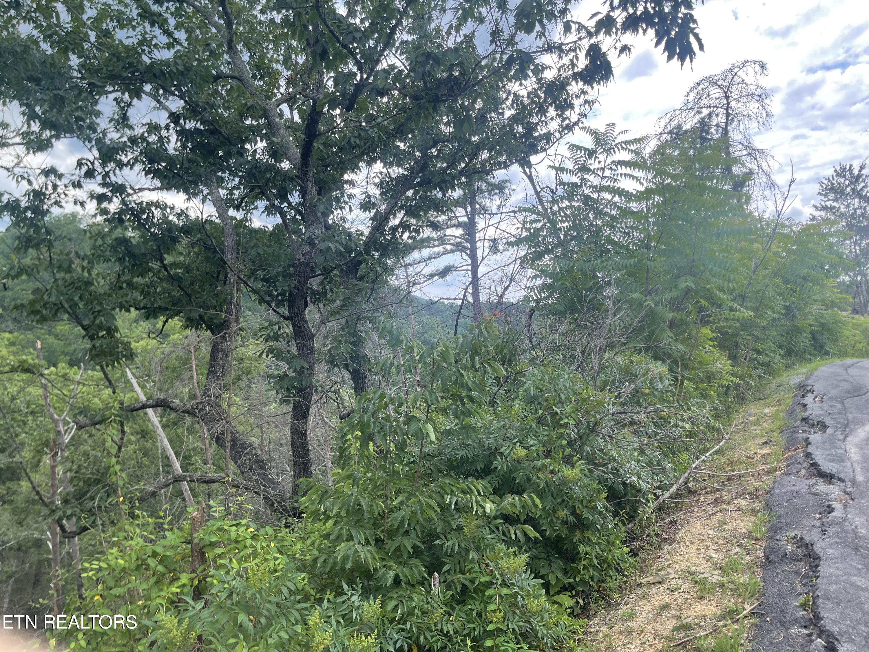River Birch Way Sevierville TN 37862