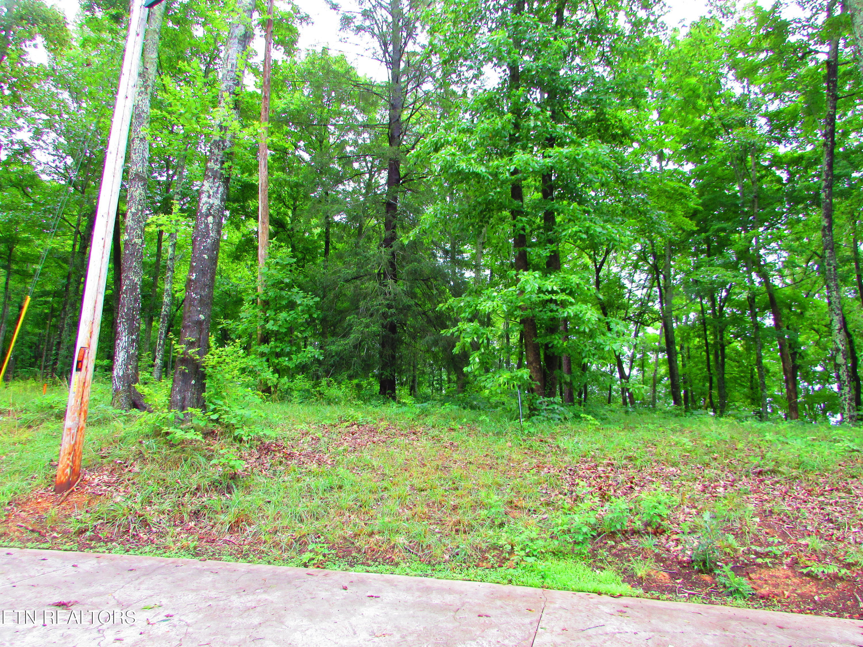 Pinnacle Pointe Way Sharps Chapel TN 37866