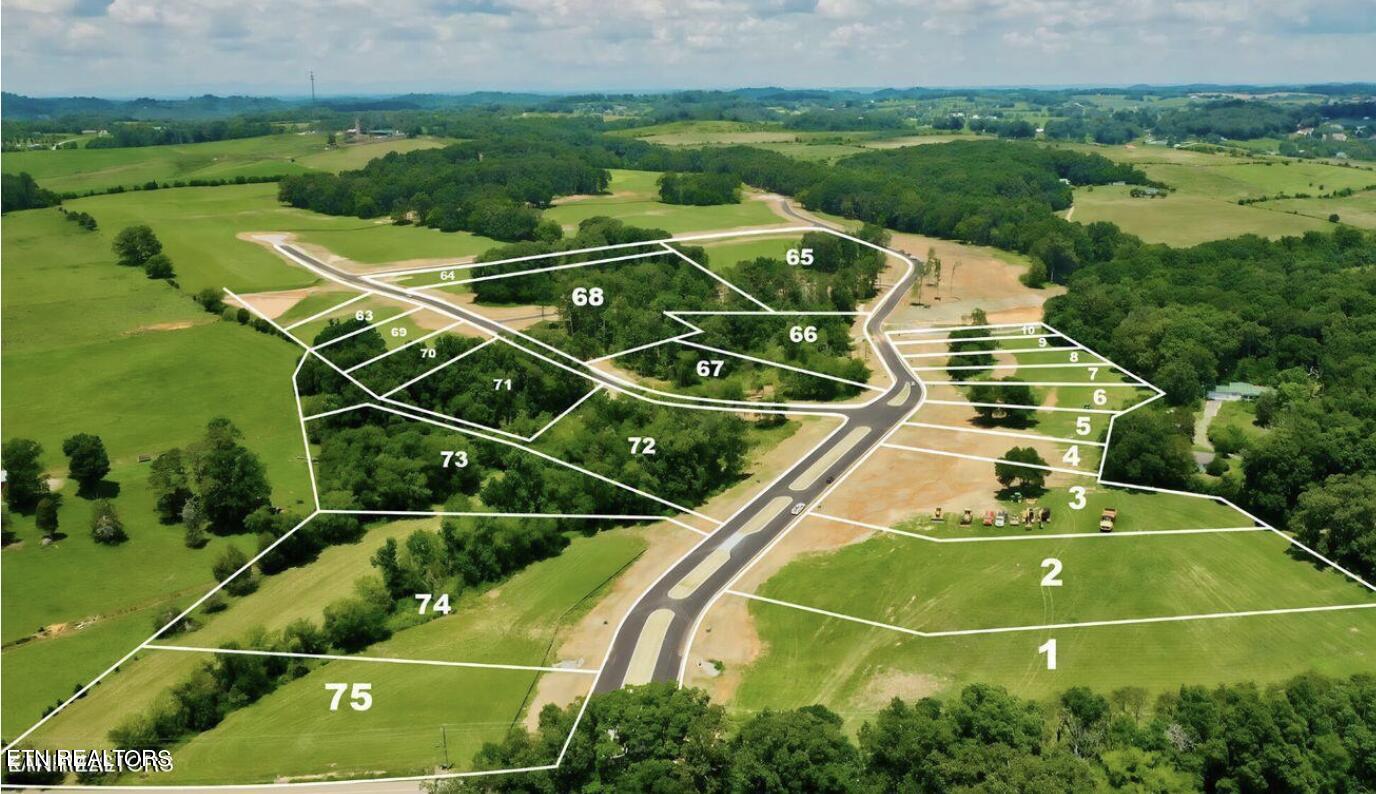 LOT67 Herbert Drive Greenback TN 37742