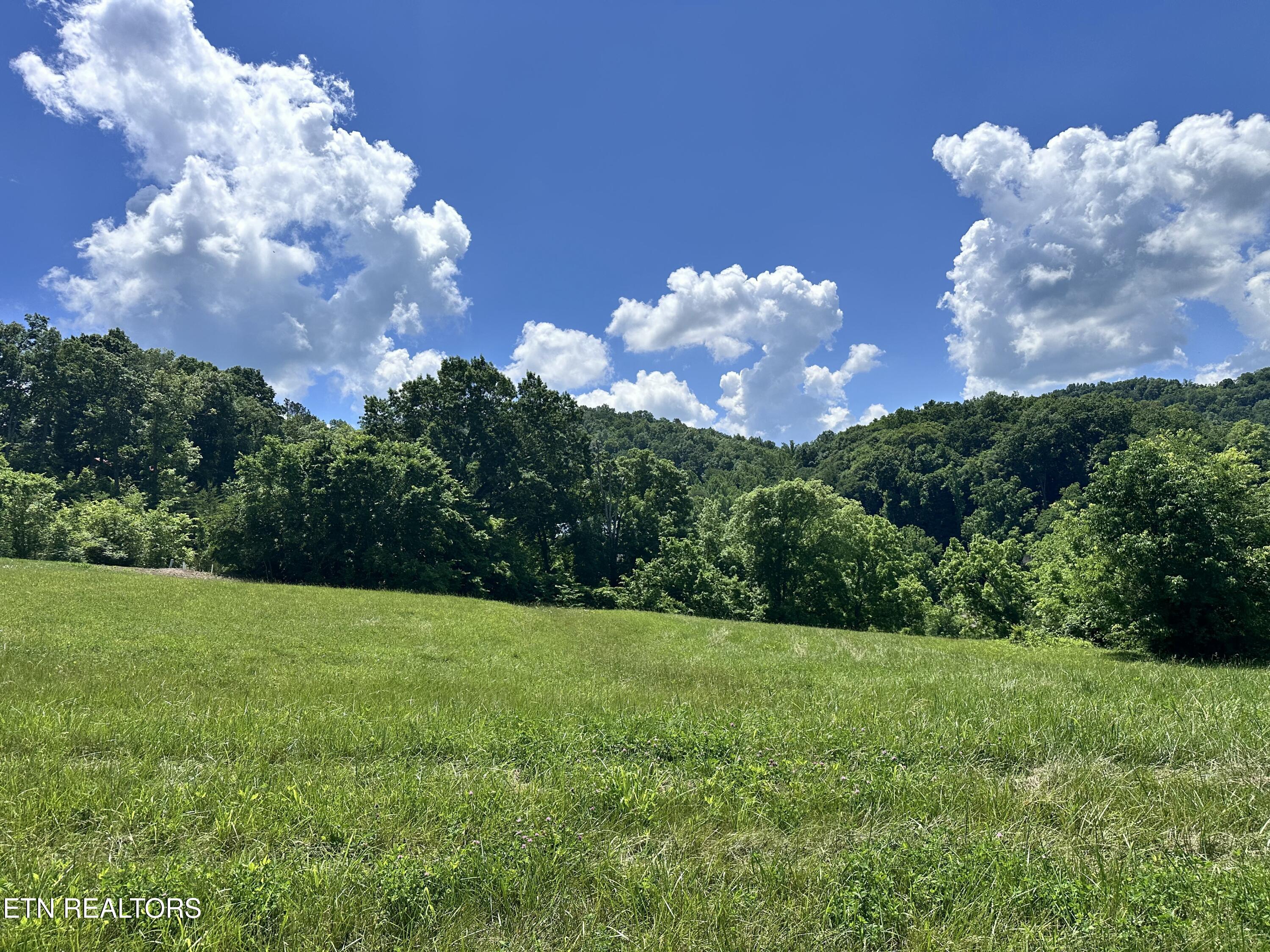 Lot 161r Garfield Lane Sharps Chapel TN 37866