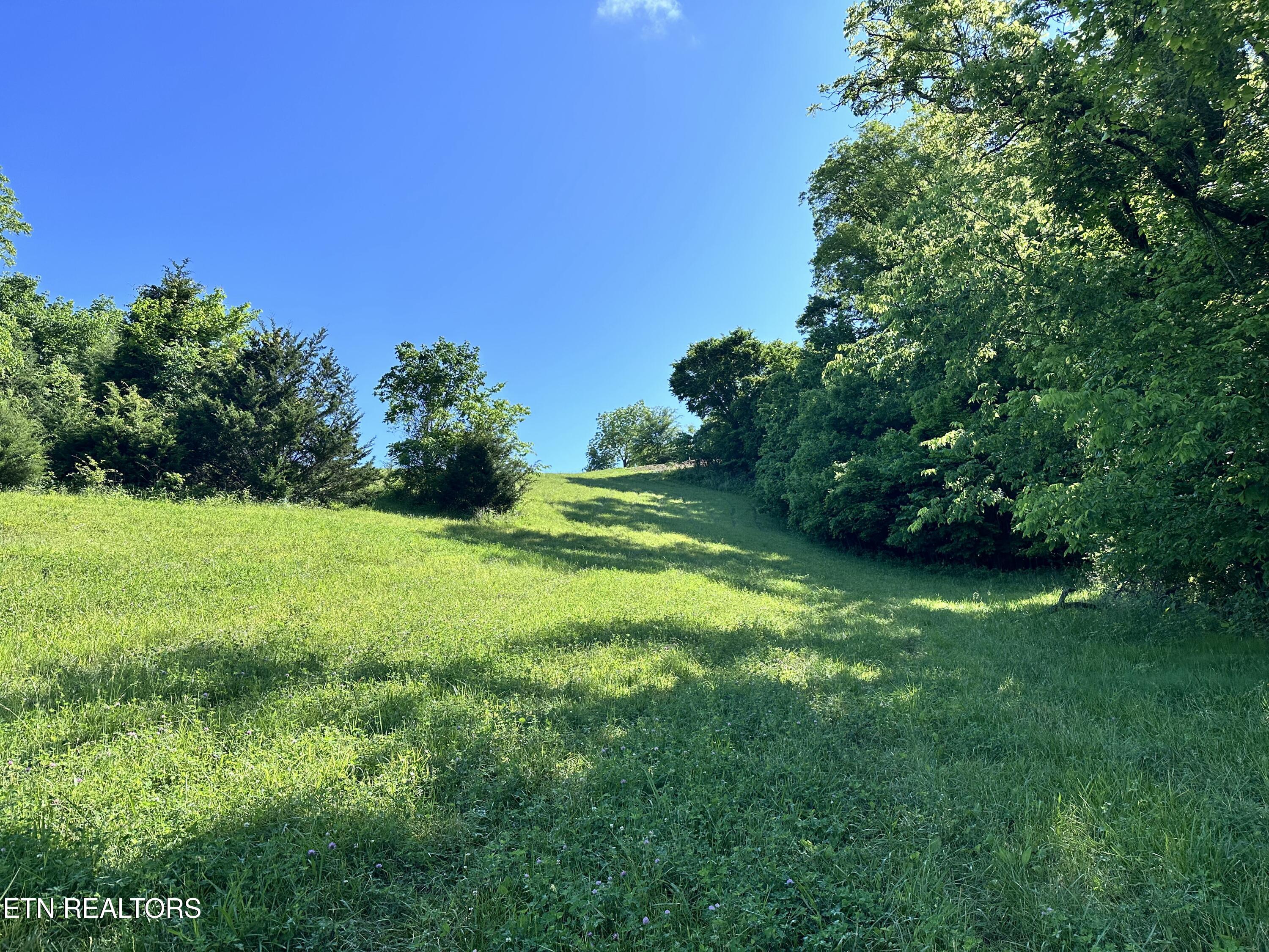 Lot 161r Garfield Lane Sharps Chapel TN 37866