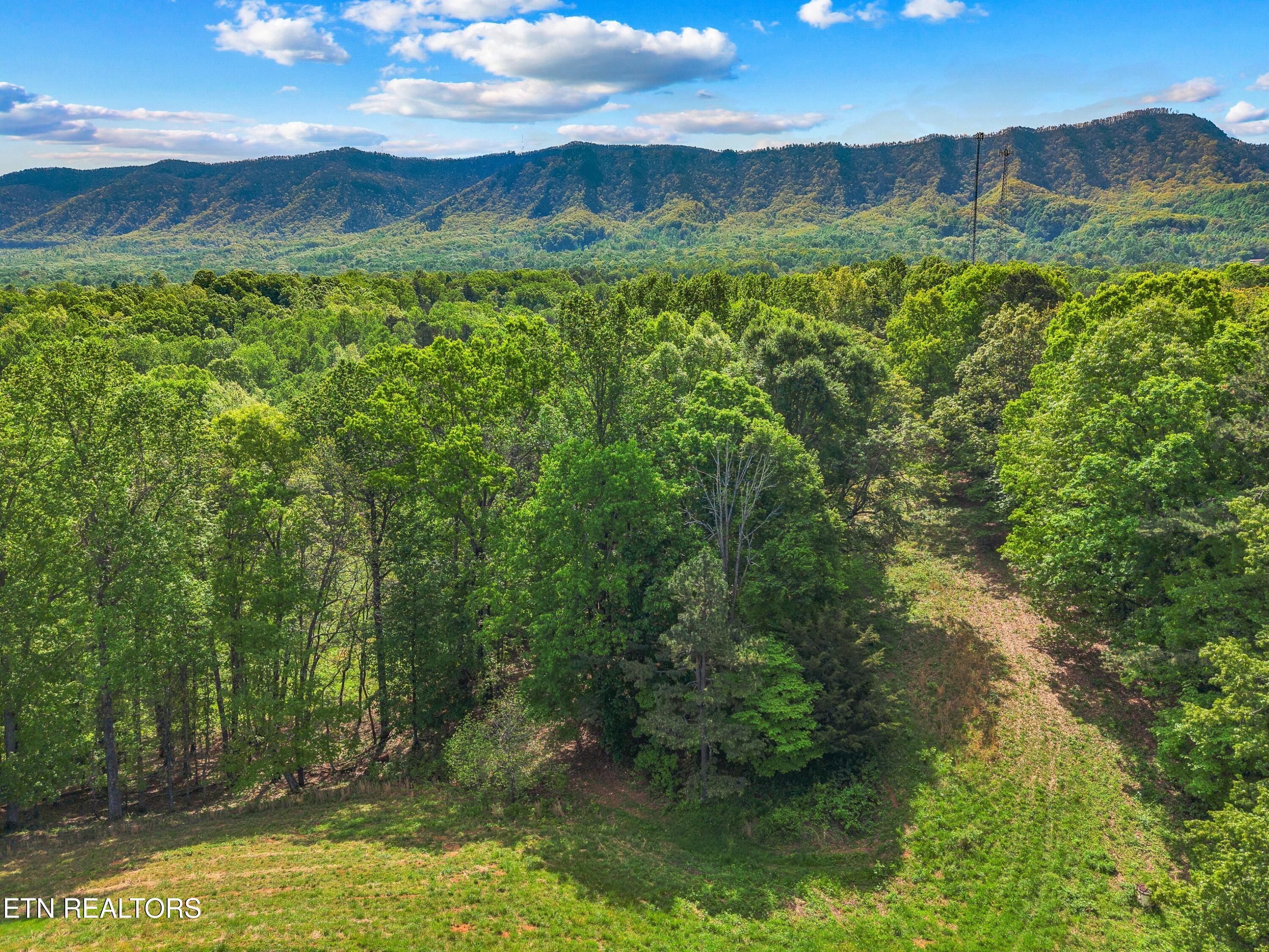 County Line Road Dandridge TN 37725