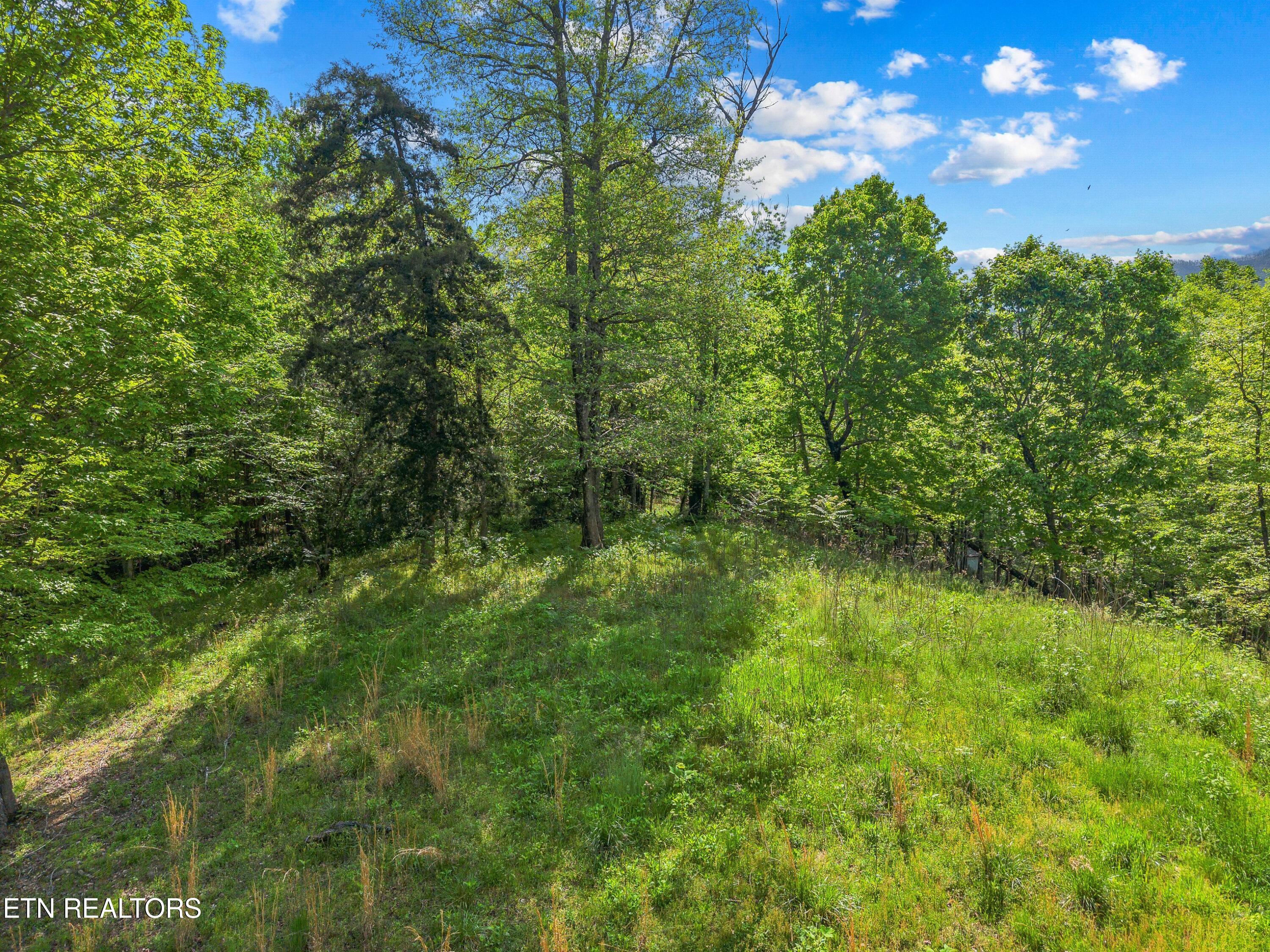 County Line Road Dandridge TN 37725
