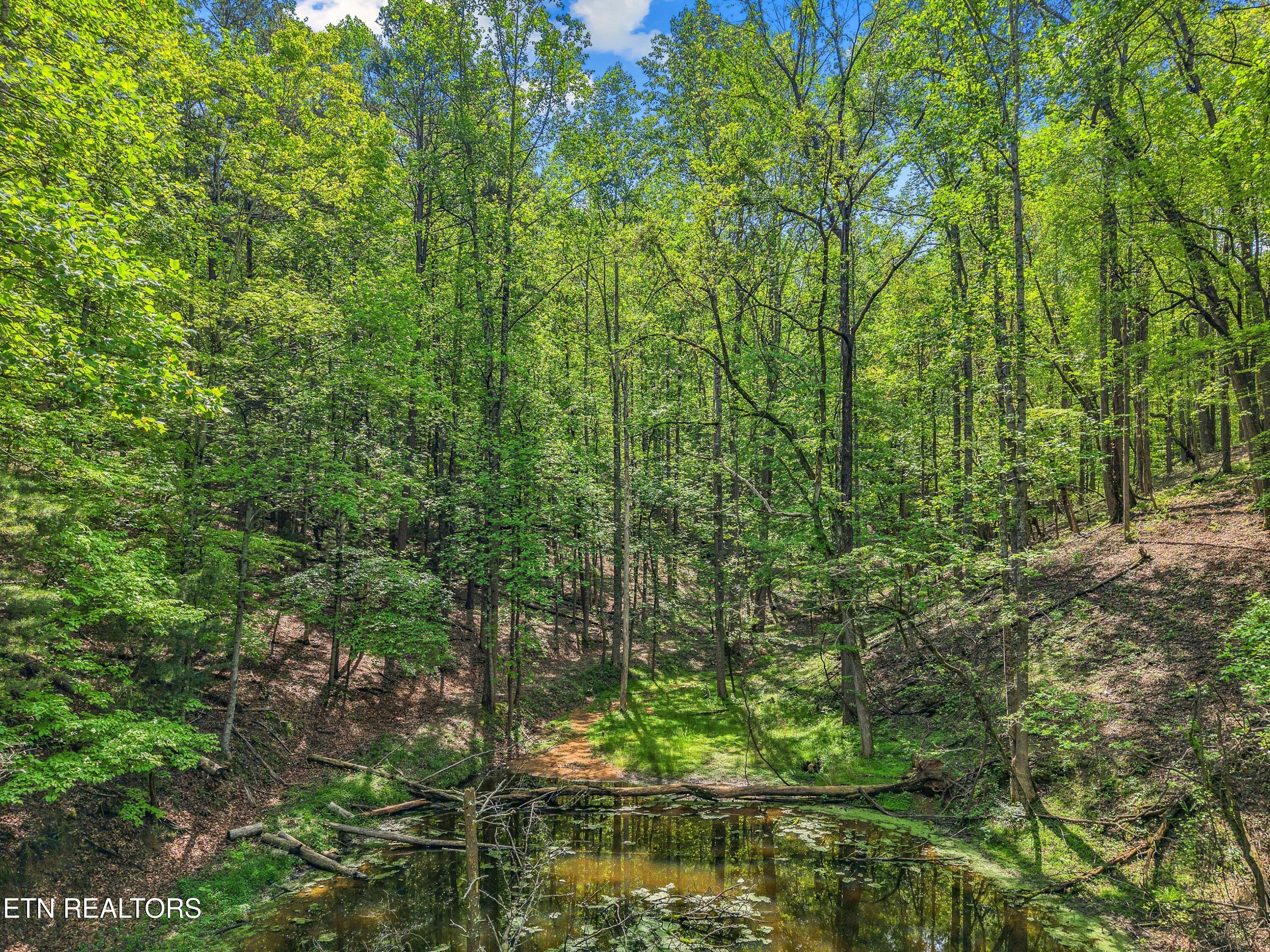 County Line Road Dandridge TN 37725