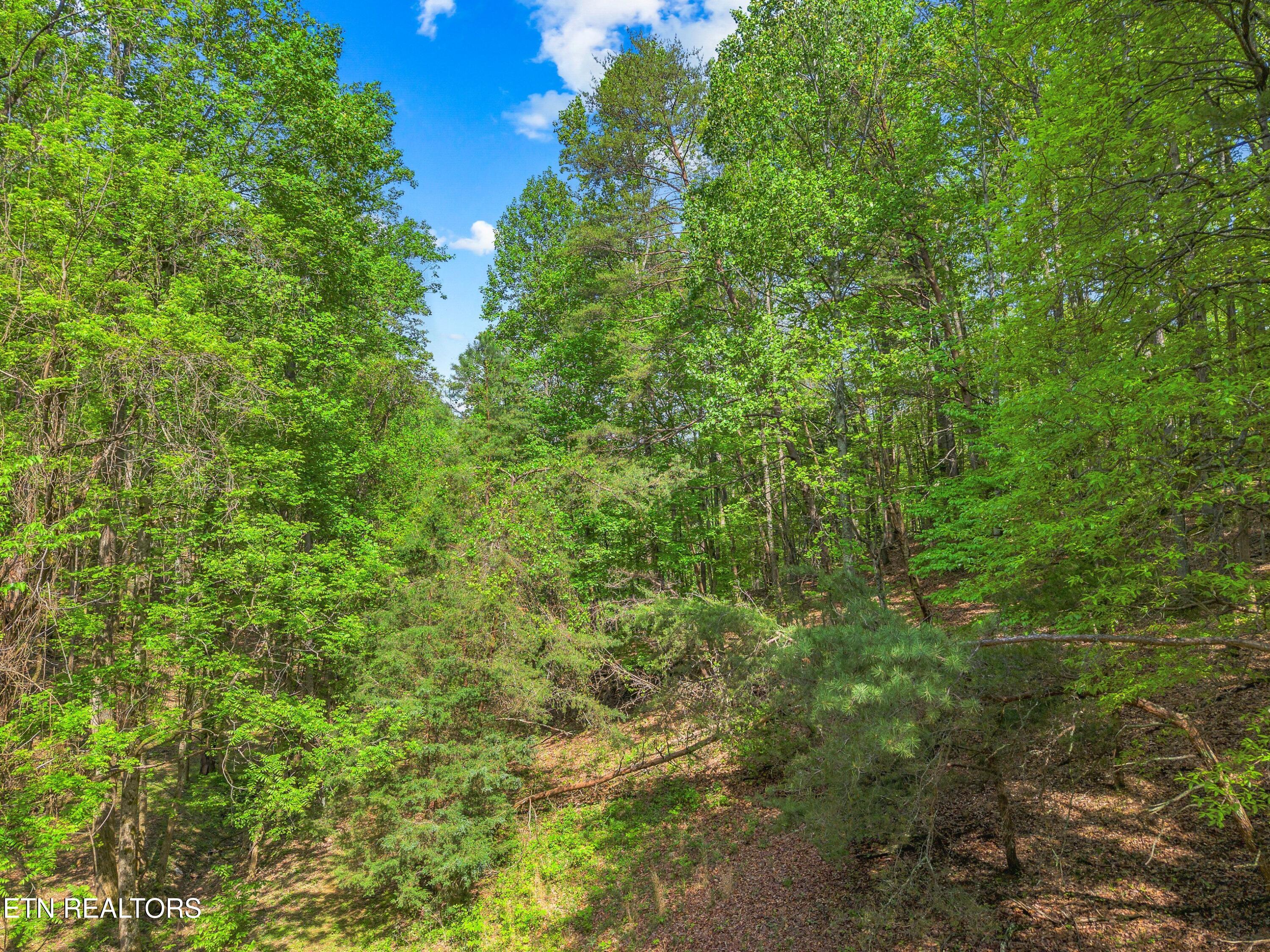 County Line Road Dandridge TN 37725