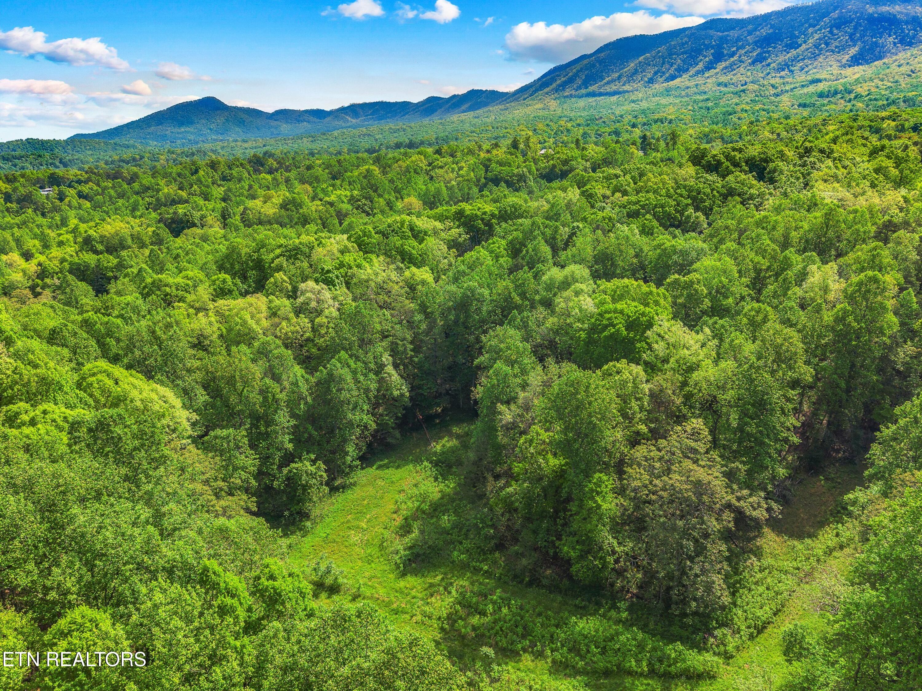 County Line Road Dandridge TN 37725