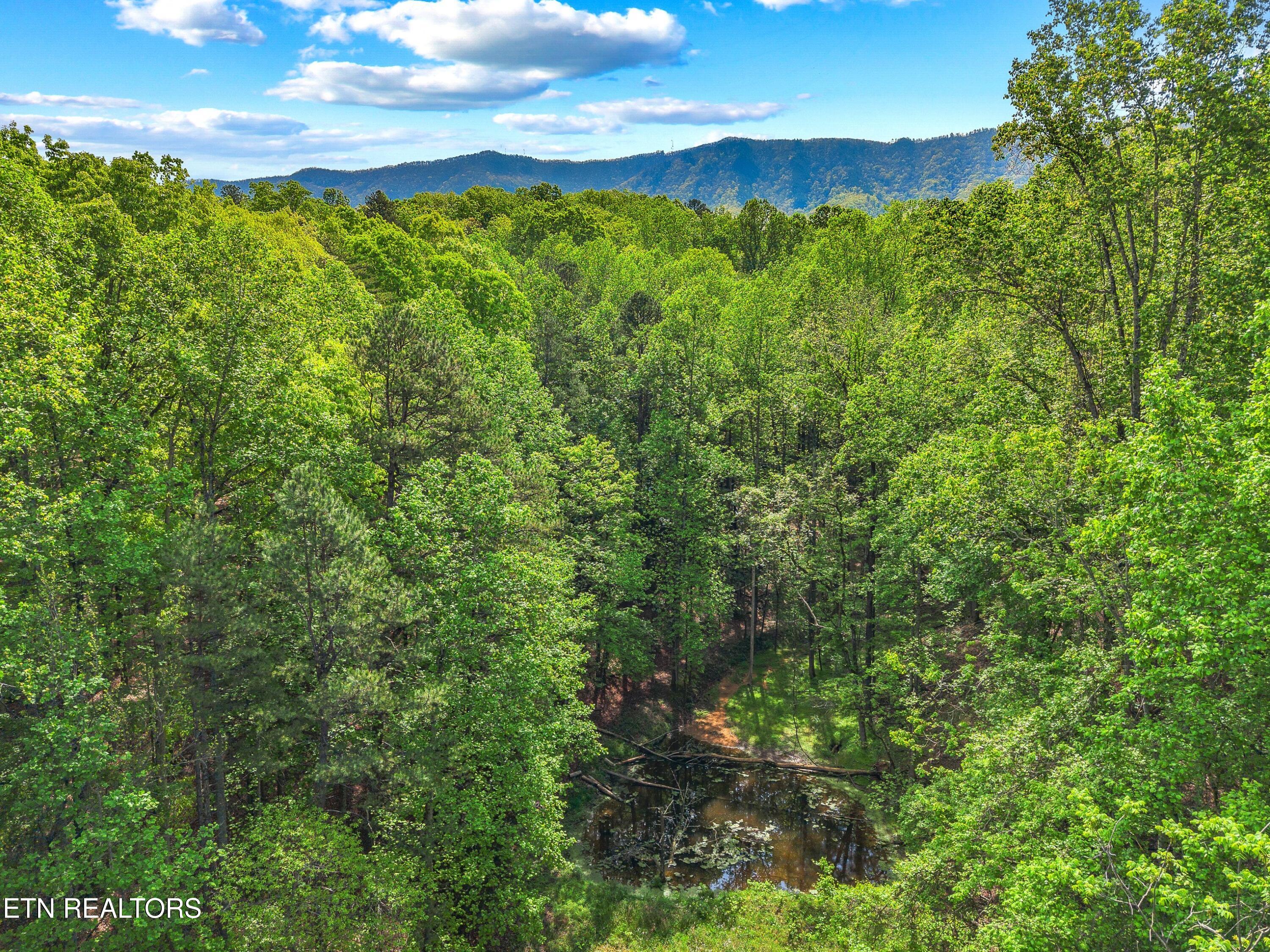 County Line Road Dandridge TN 37725