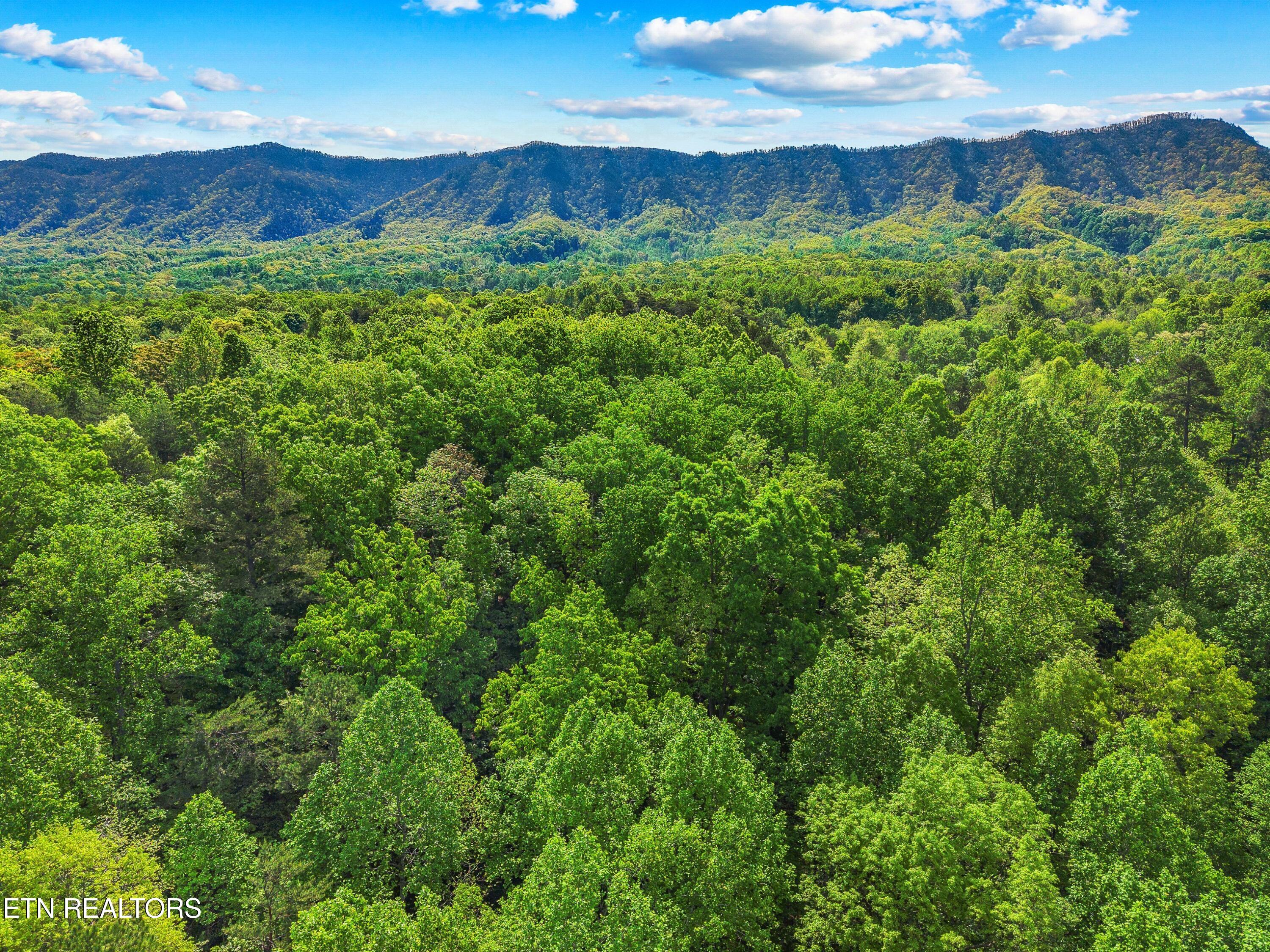 County Line Road Dandridge TN 37725