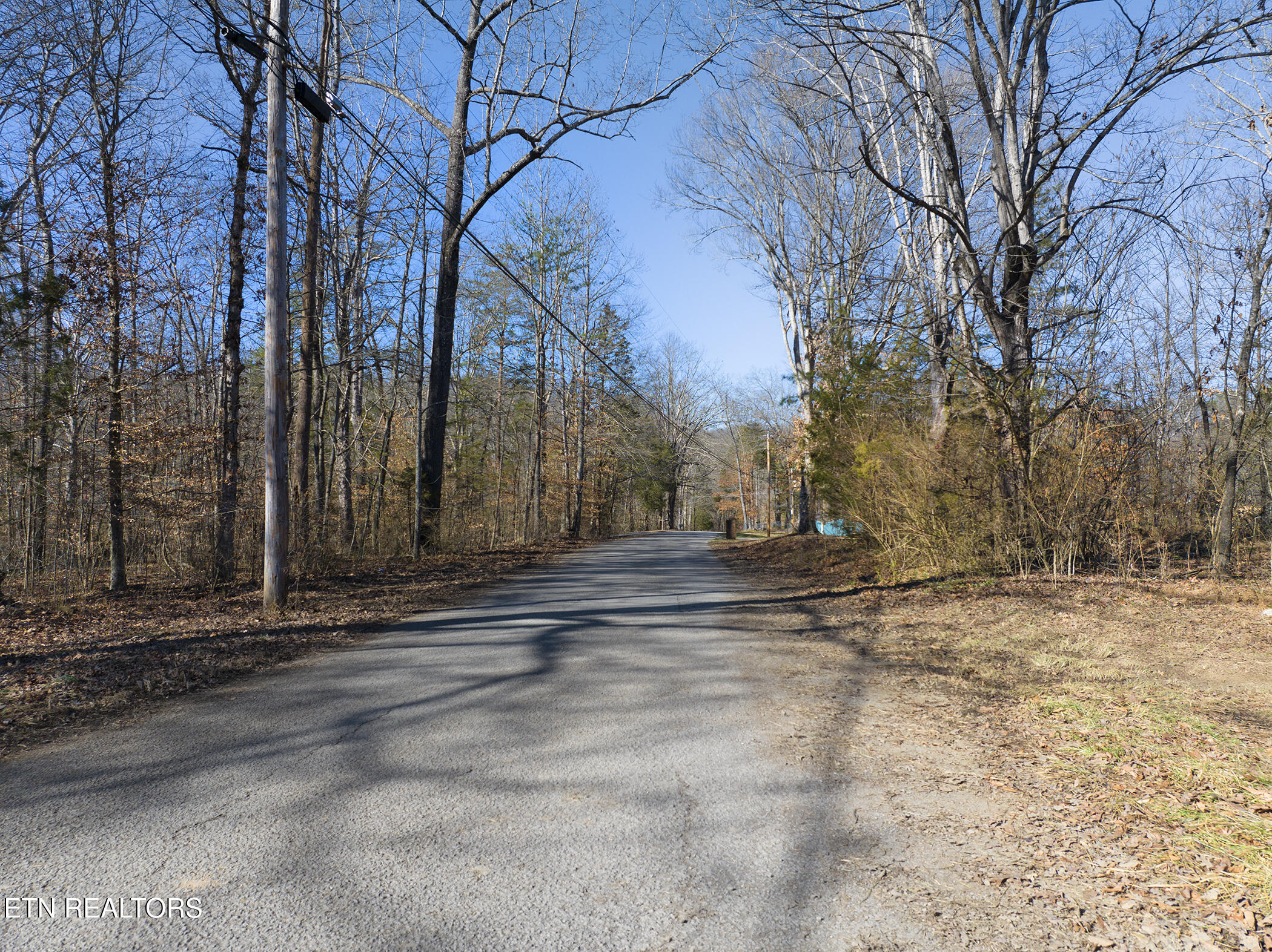 8824 Hankins Lane Powell TN 37849