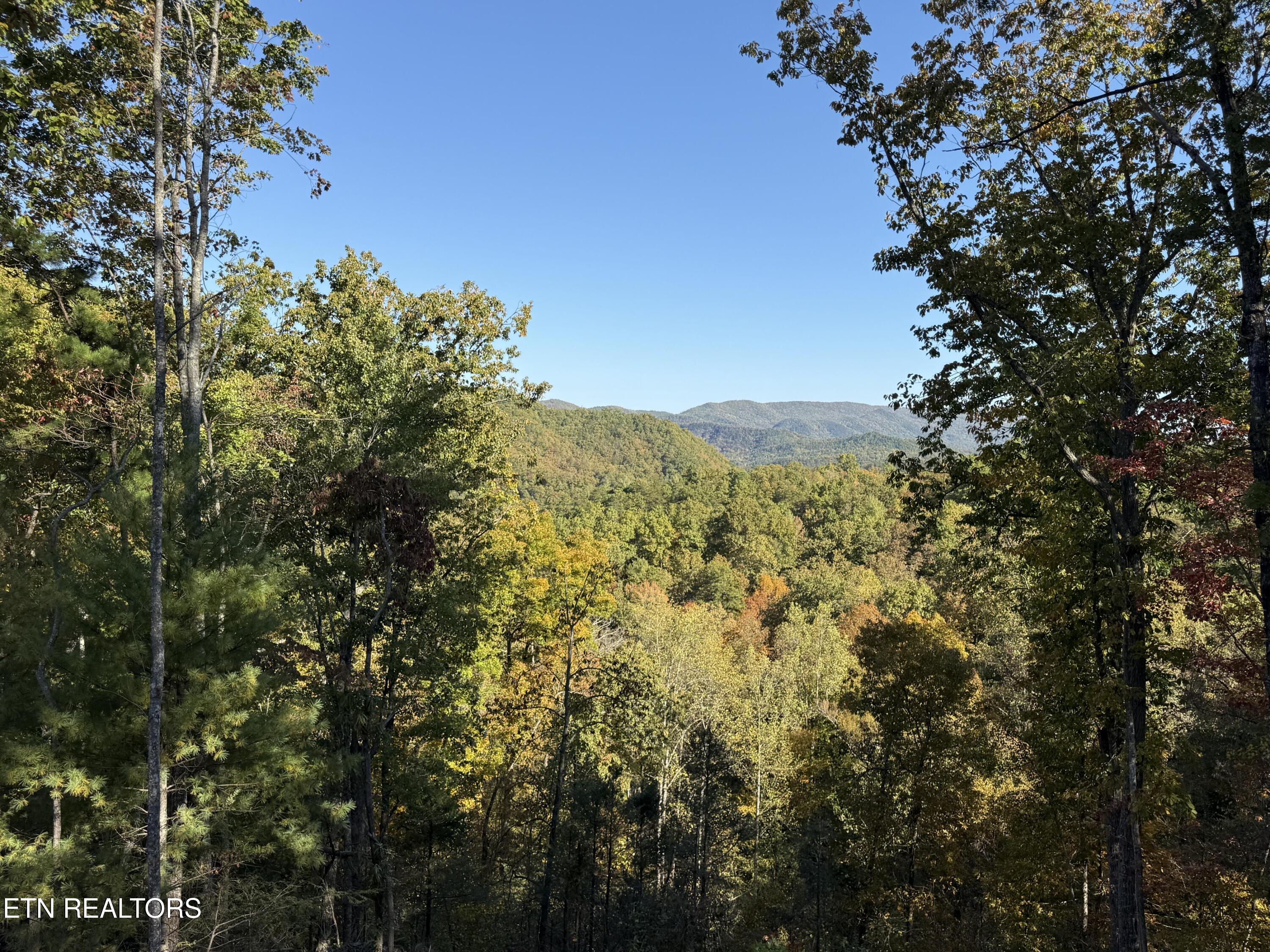 1 Mule Sevierville TN 37862