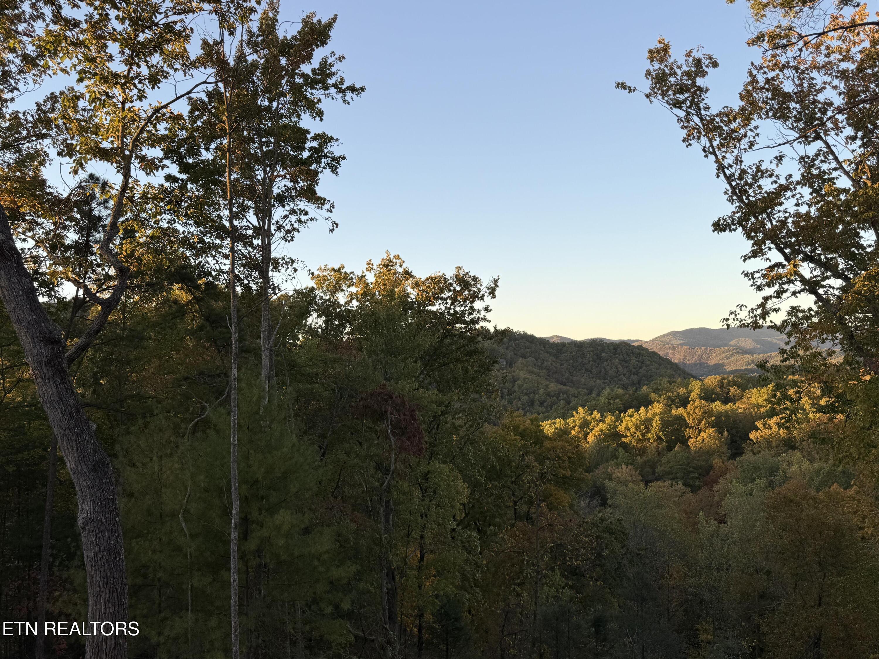 1 Mule Sevierville TN 37862