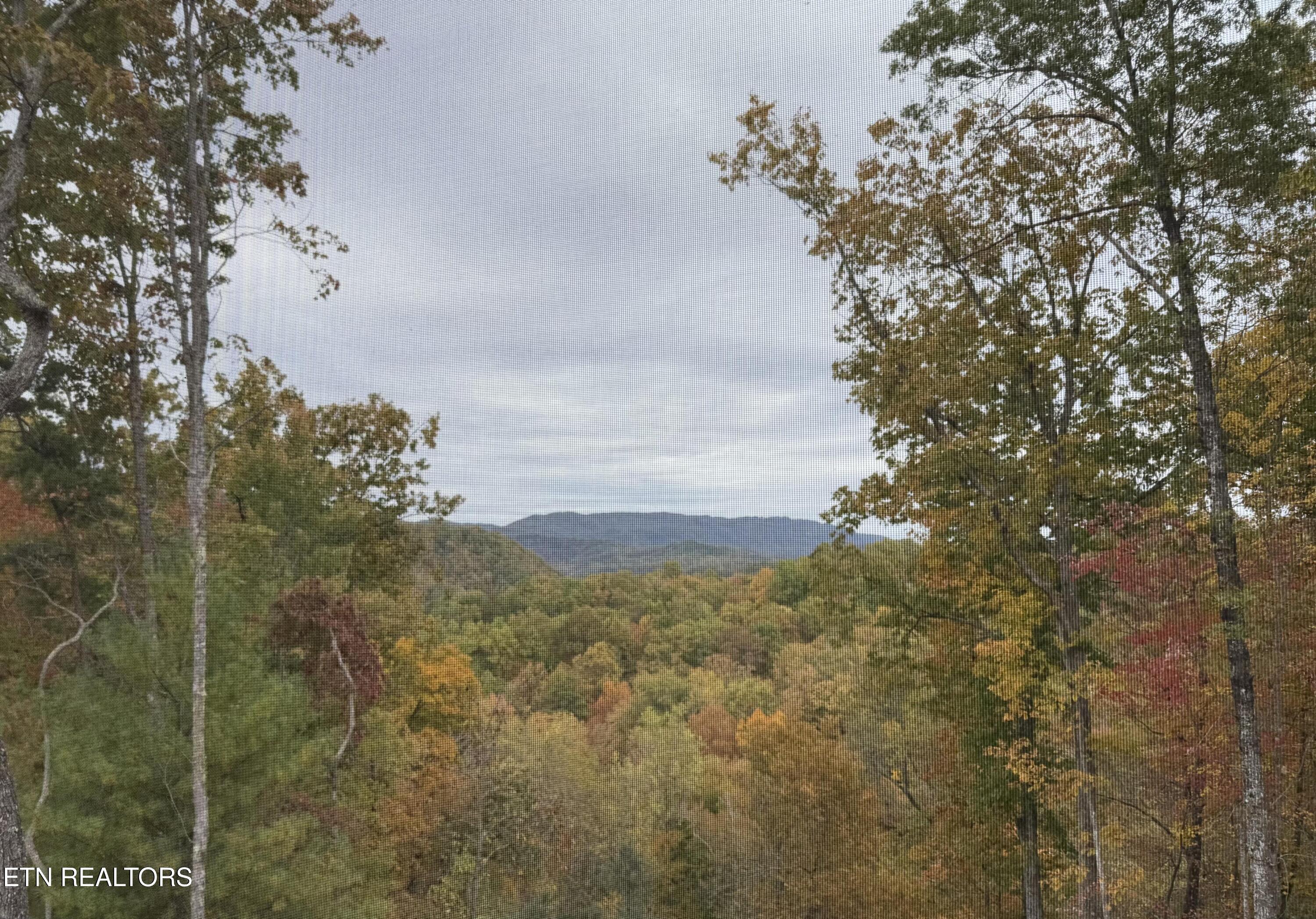 1 Mule Sevierville TN 37862