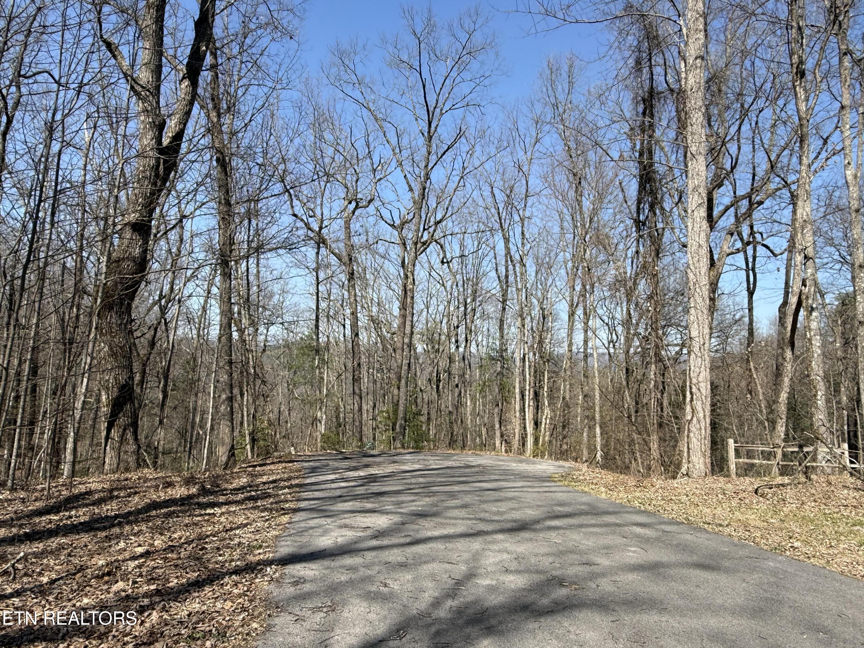 1 Mule Sevierville TN 37862