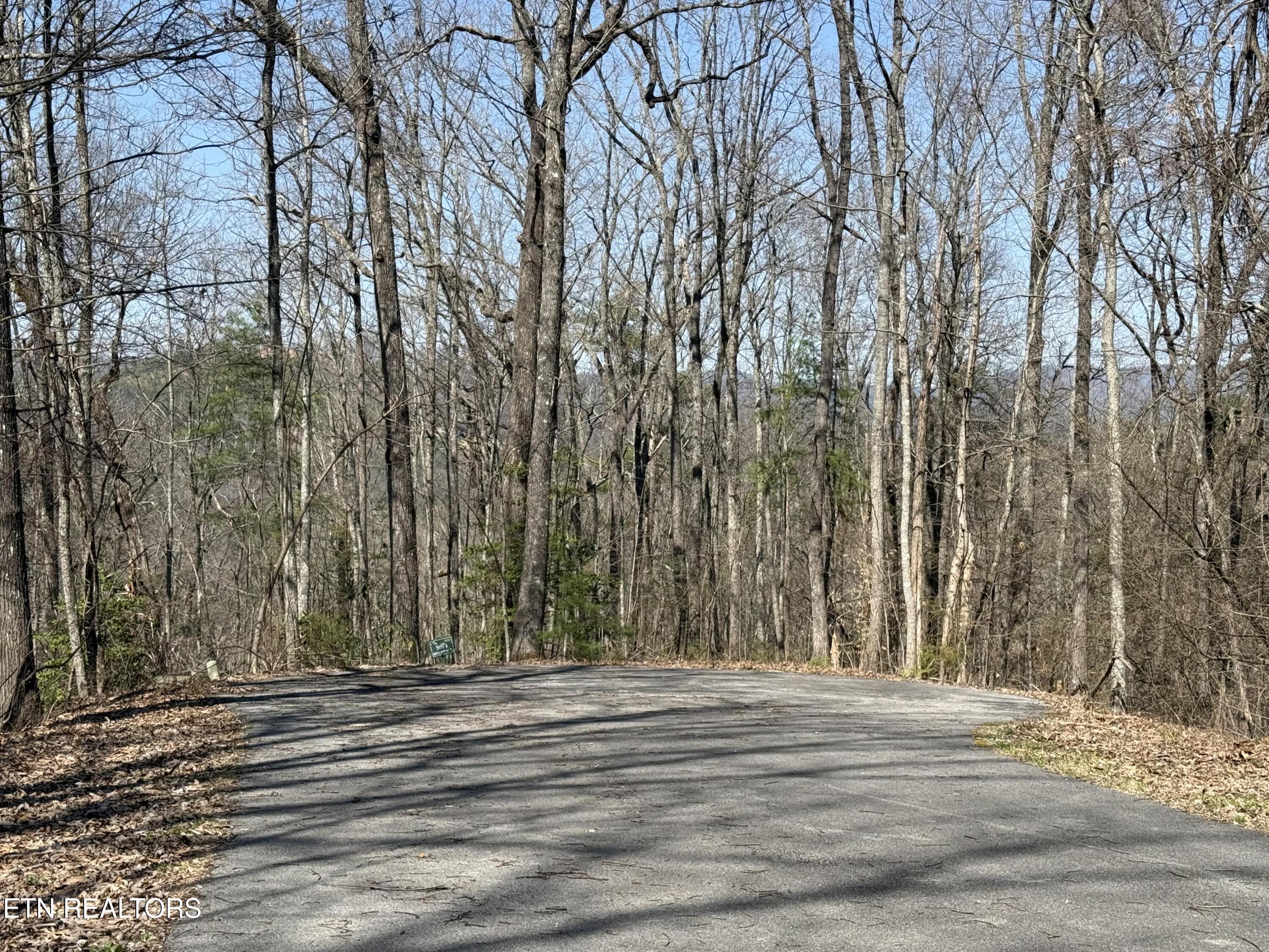1 Mule Sevierville TN 37862