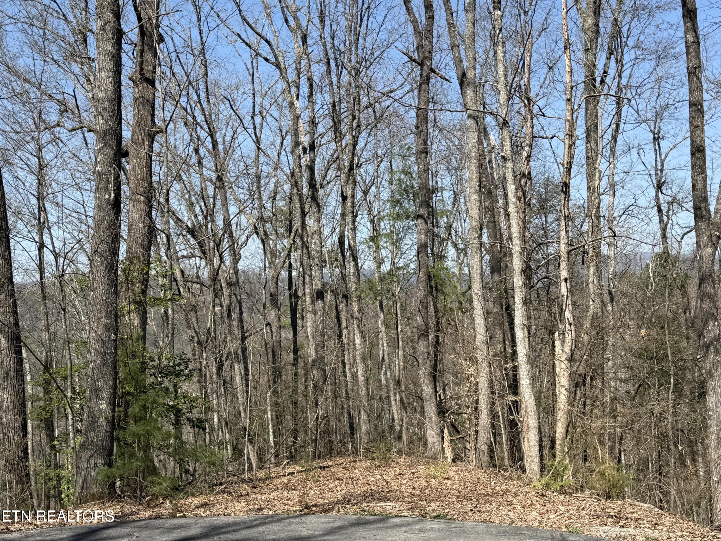 1 Mule Sevierville TN 37862