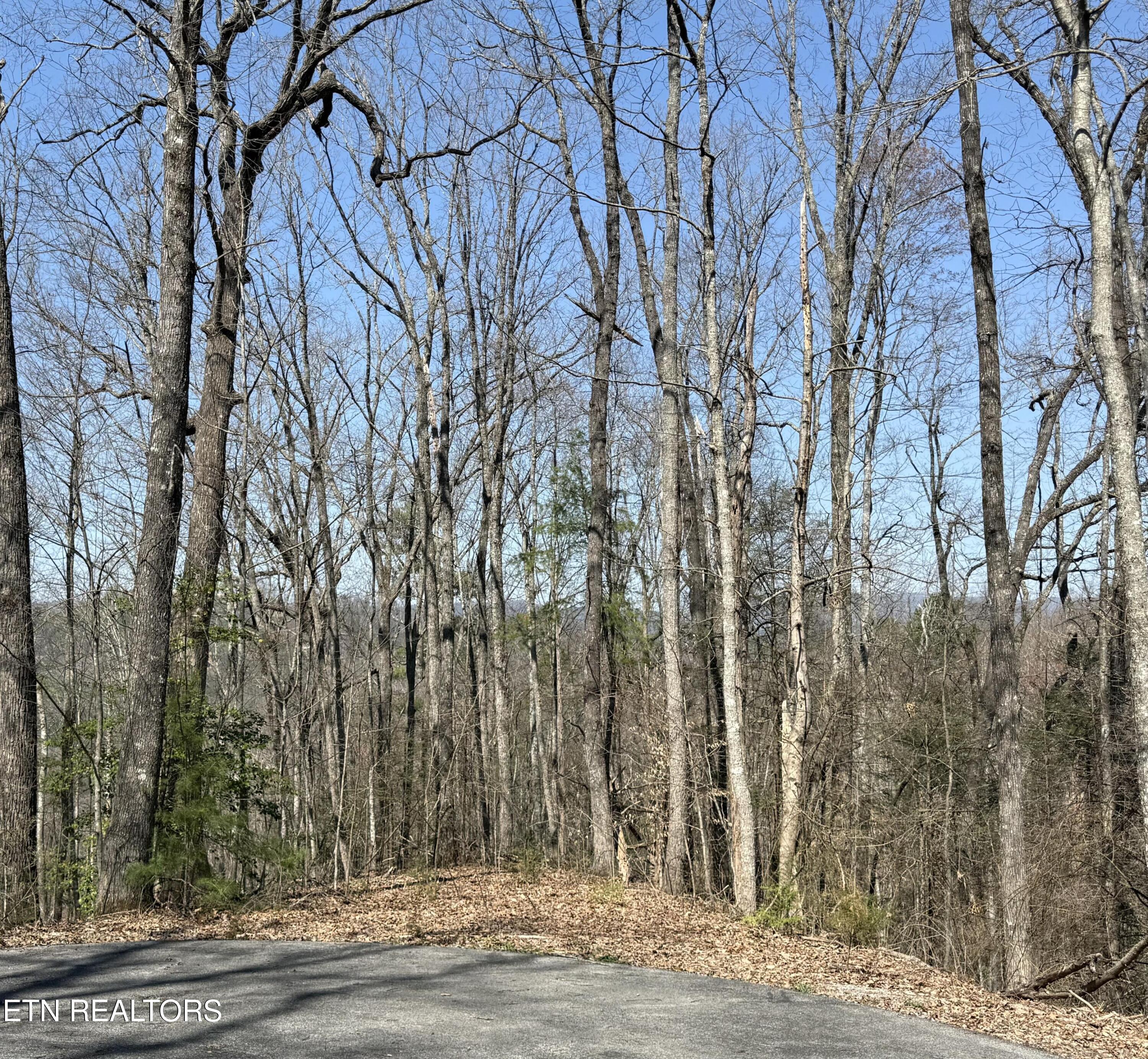 1 Mule Sevierville TN 37862