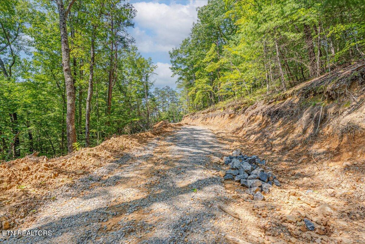 1200 Steer Creek Road Tellico Plains TN 37385