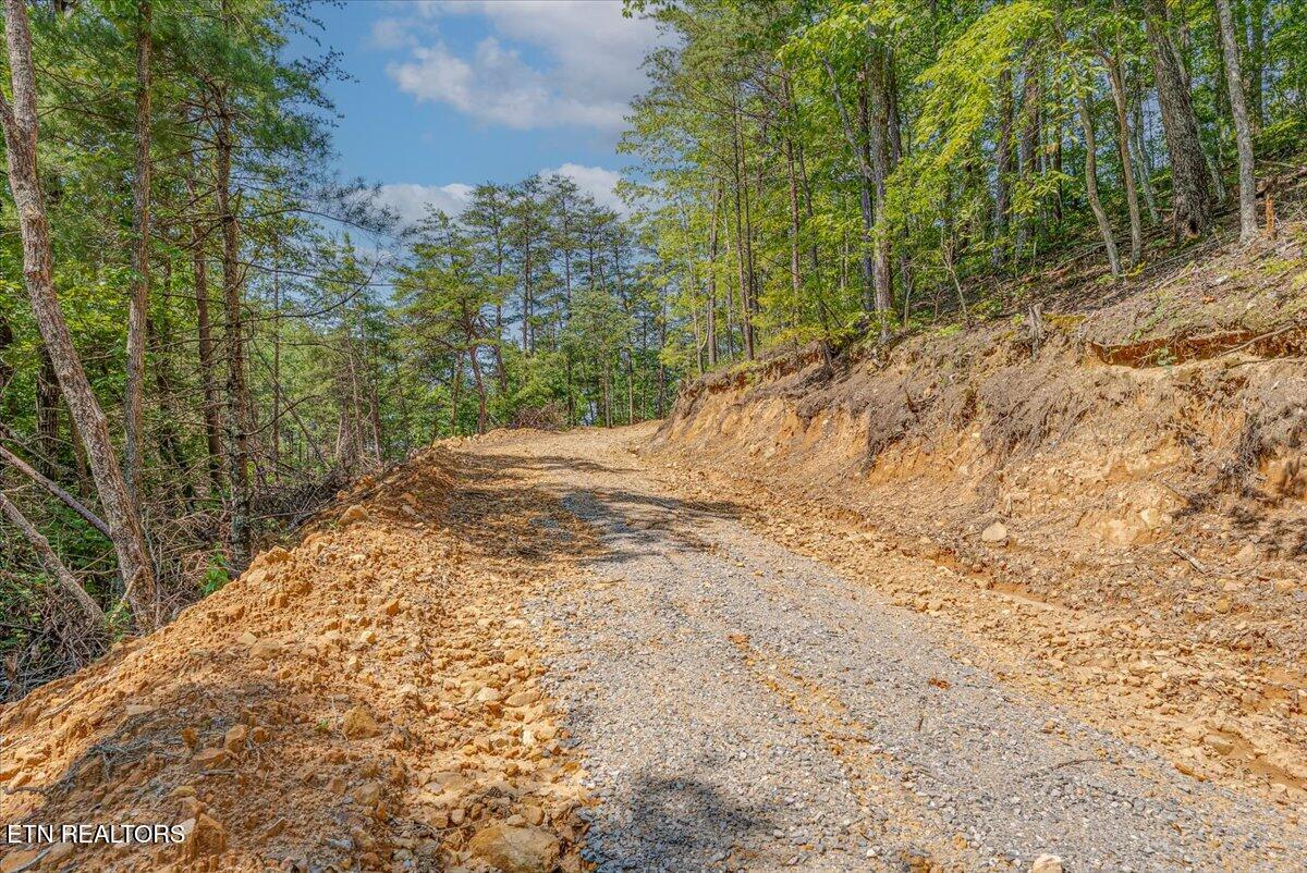 1200 Steer Creek Road Tellico Plains TN 37385