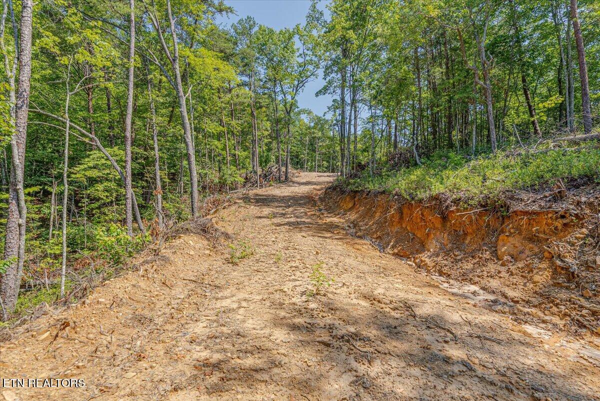 1200 Steer Creek Road Tellico Plains TN 37385