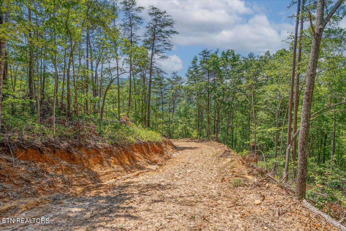 1200 Steer Creek Road Tellico Plains TN 37385