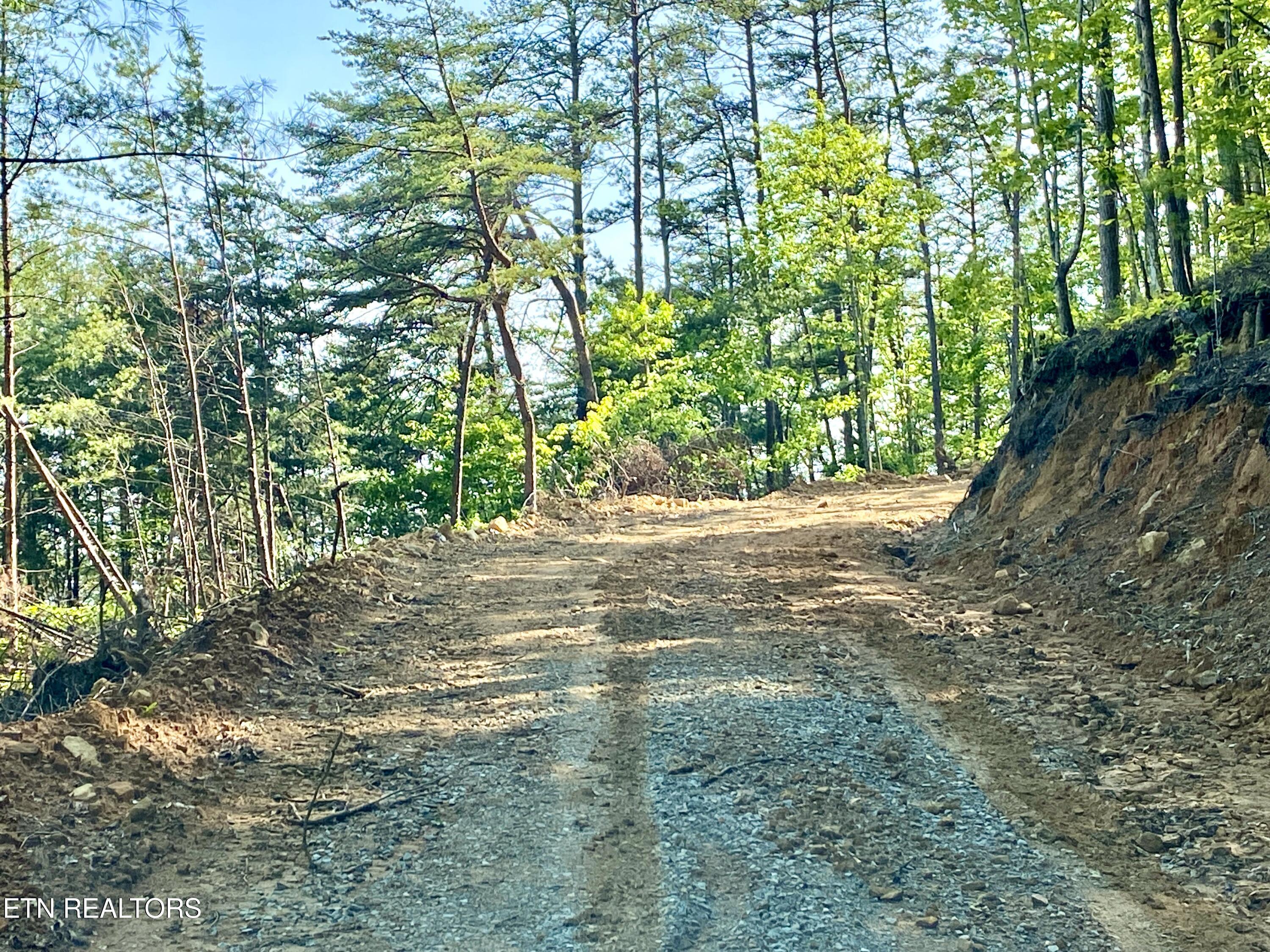 1200 Steer Creek Road Tellico Plains TN 37385