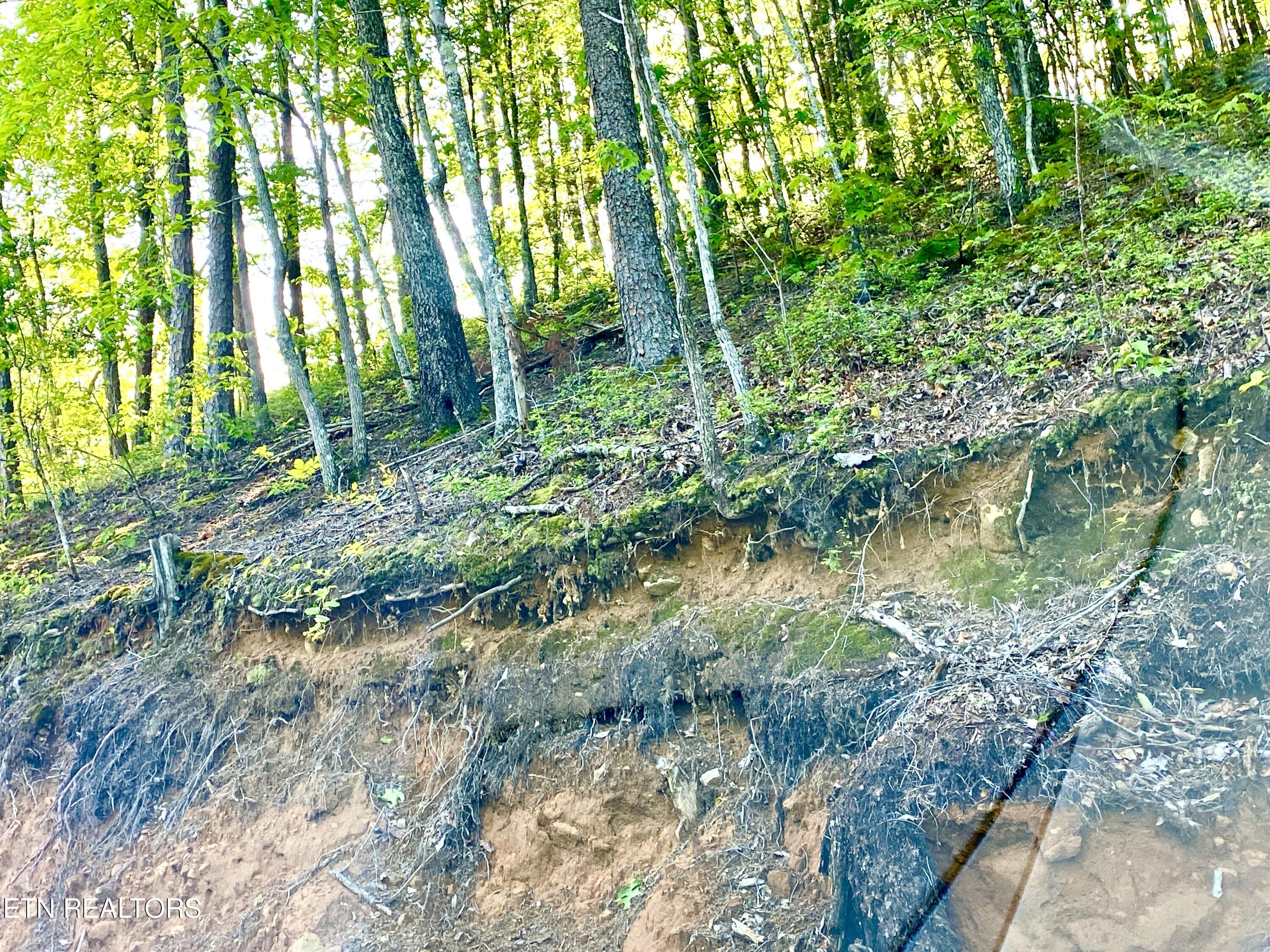1200 Steer Creek Road Tellico Plains TN 37385