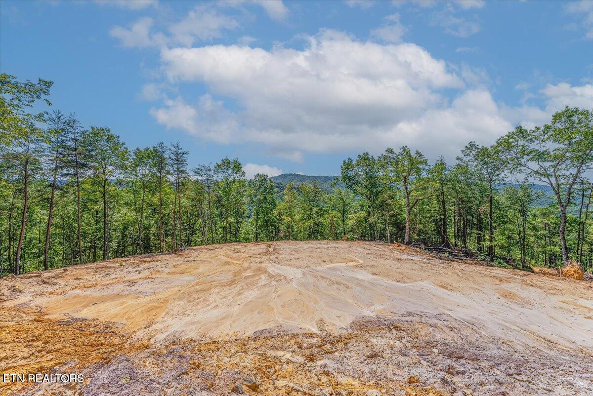 1200 Steer Creek Road Tellico Plains TN 37385
