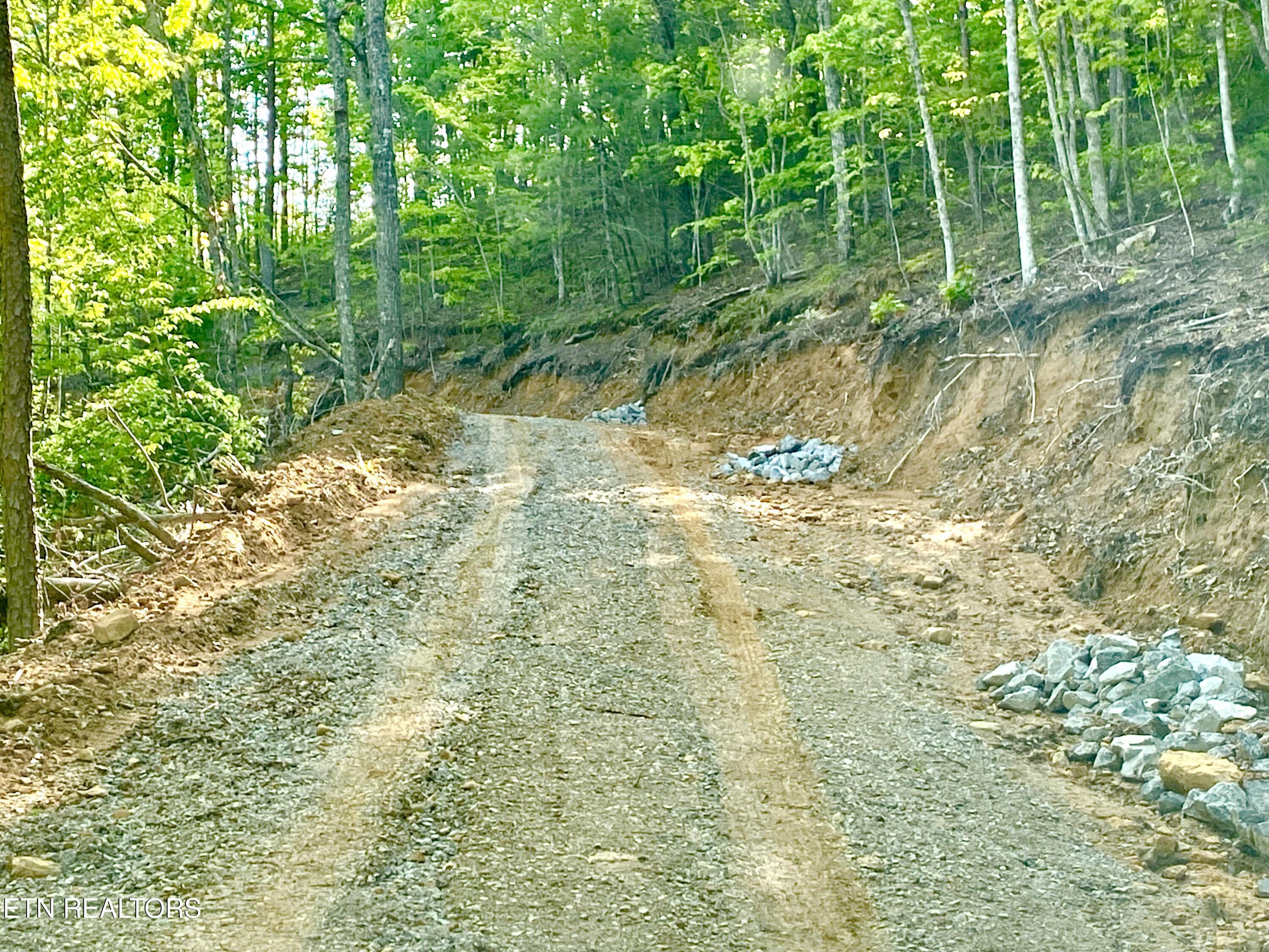 1200 Steer Creek Road Tellico Plains TN 37385