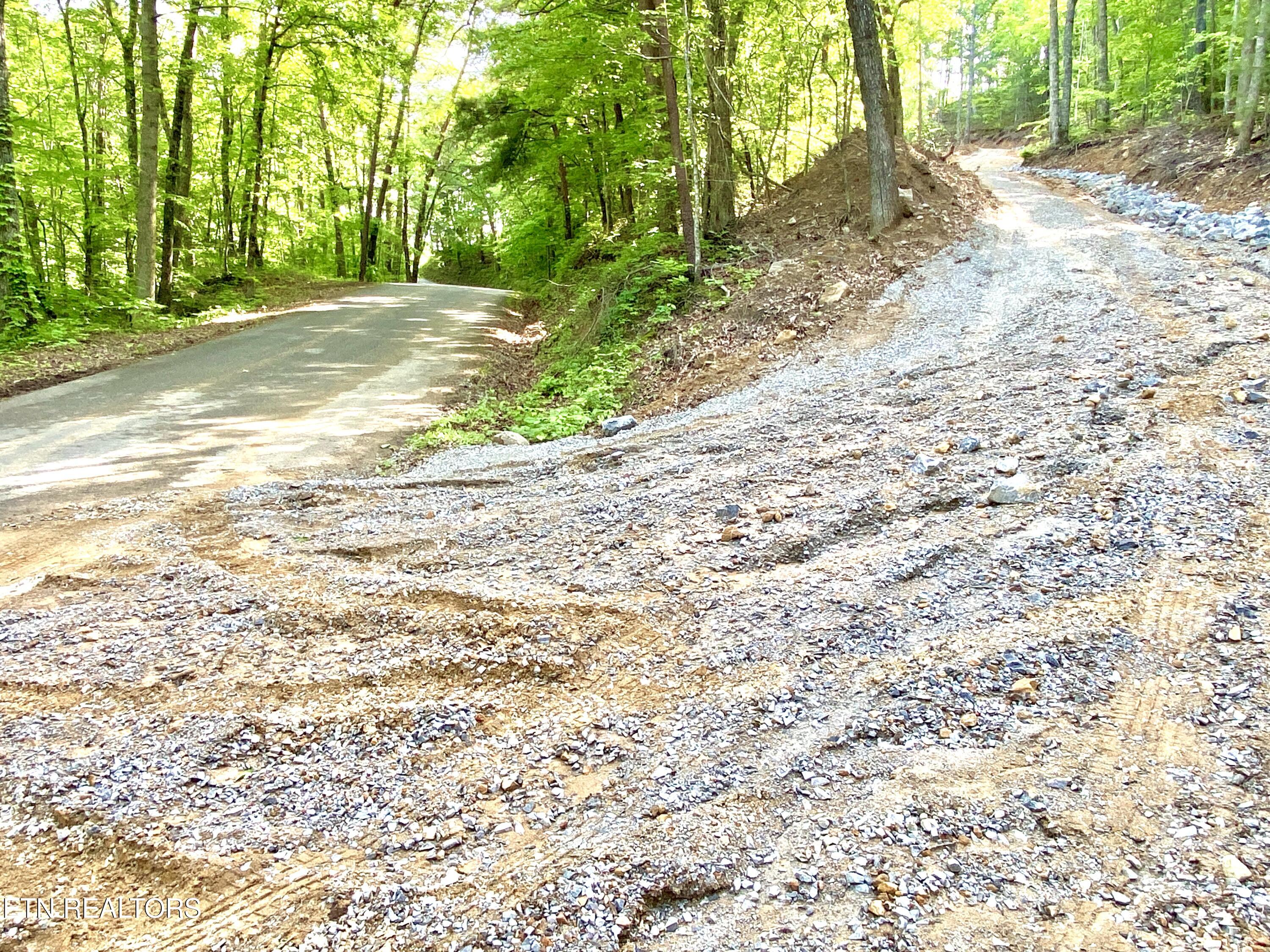 1200 Steer Creek Road Tellico Plains TN 37385