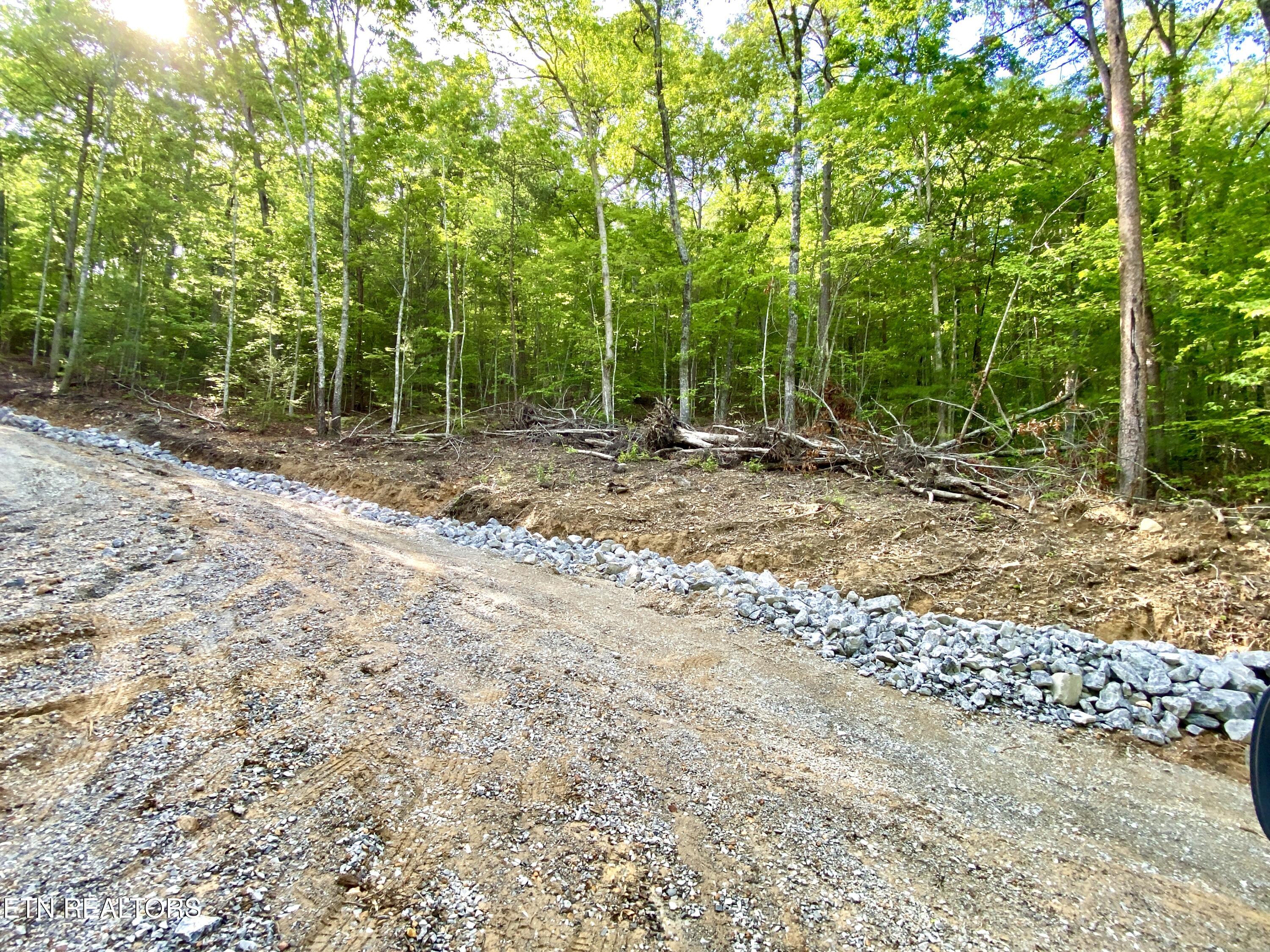 1200 Steer Creek Road Tellico Plains TN 37385