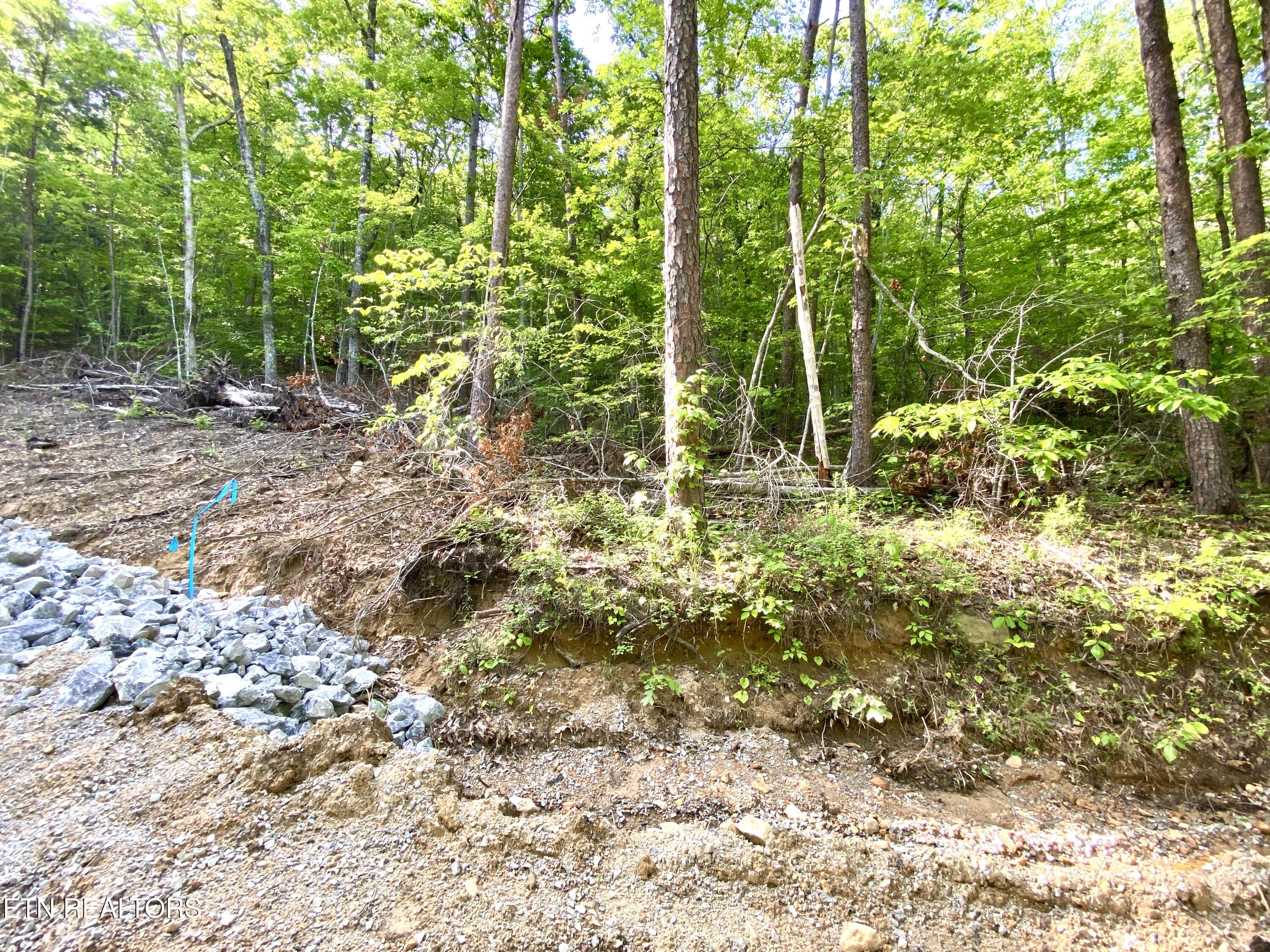 1200 Steer Creek Road Tellico Plains TN 37385