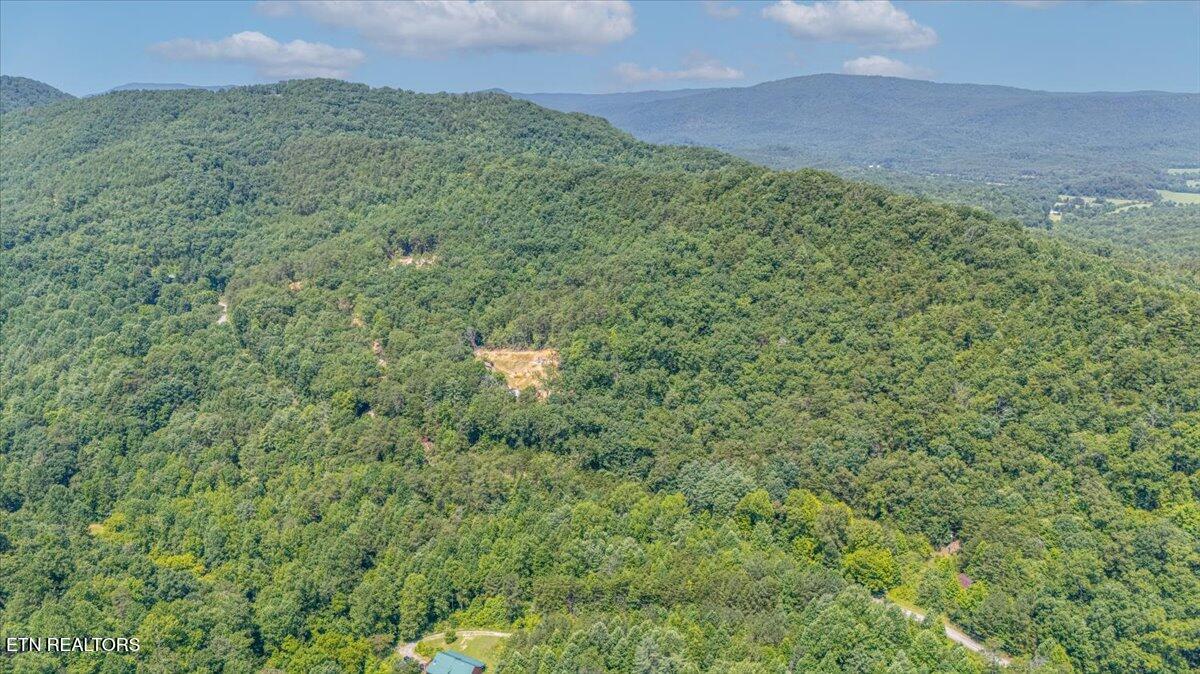 1200 Steer Creek Road Tellico Plains TN 37385