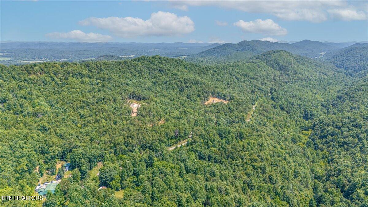1200 Steer Creek Road Tellico Plains TN 37385