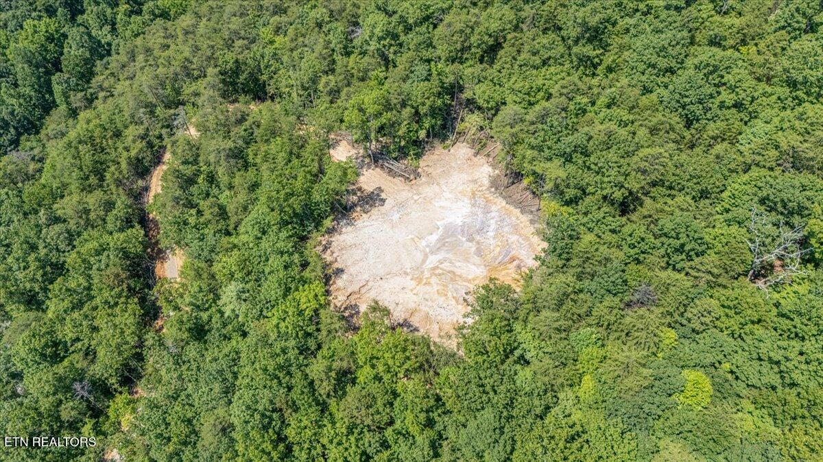 1200 Steer Creek Road Tellico Plains TN 37385