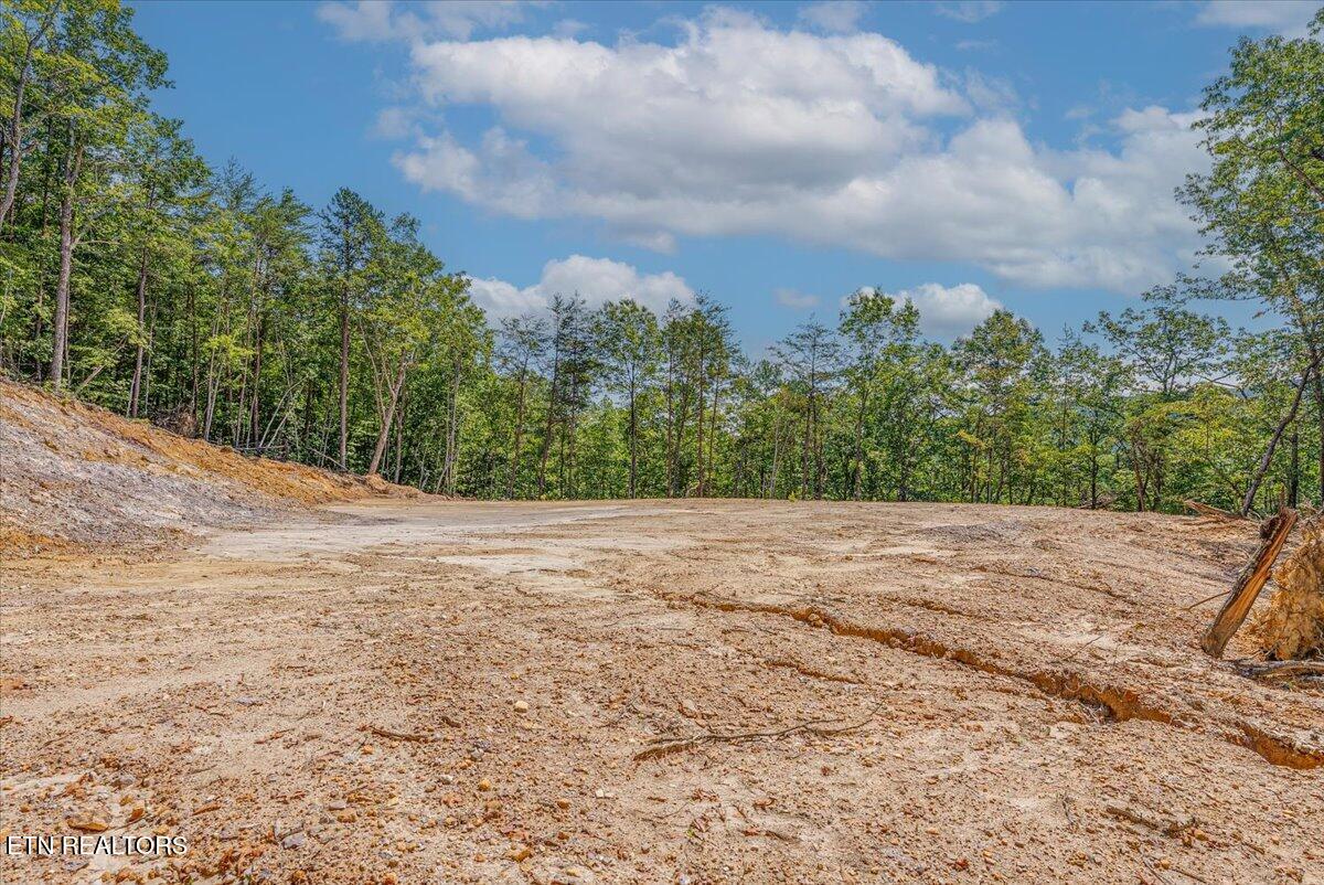 1200 Steer Creek Road Tellico Plains TN 37385