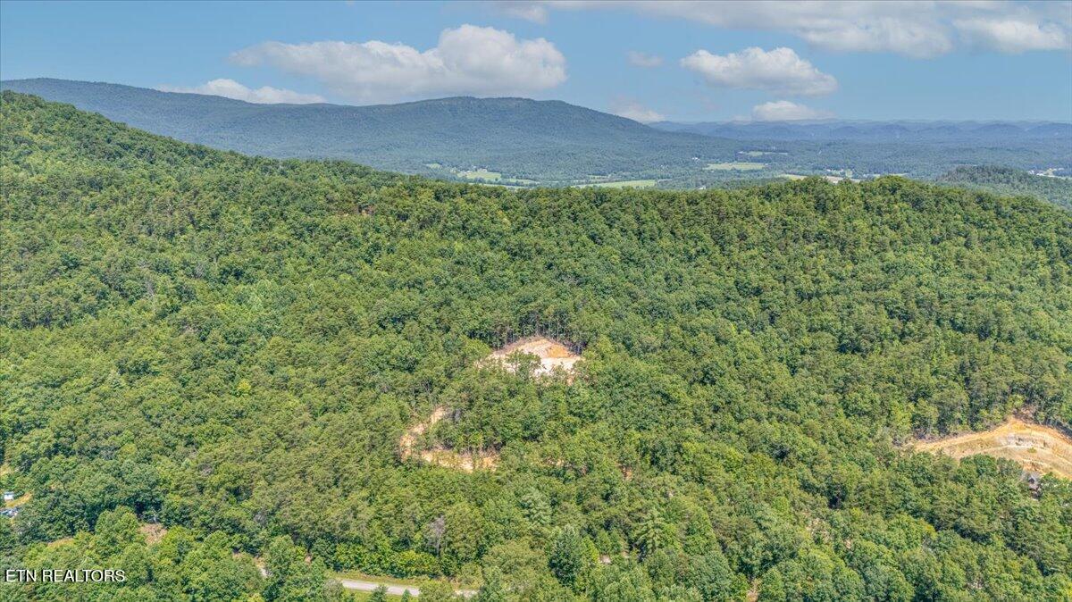 1200 Steer Creek Road Tellico Plains TN 37385