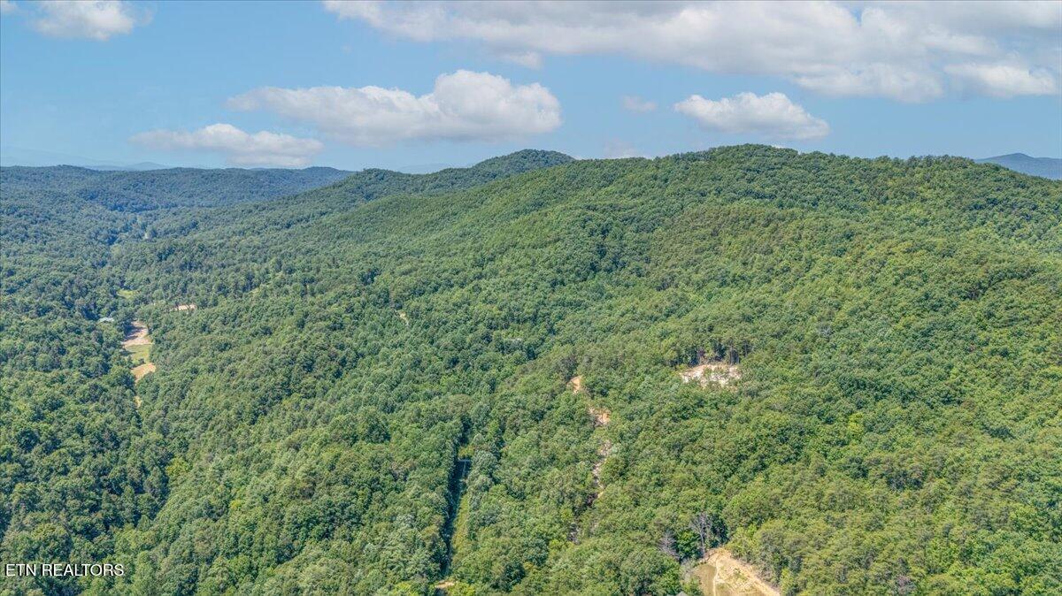 1200 Steer Creek Road Tellico Plains TN 37385