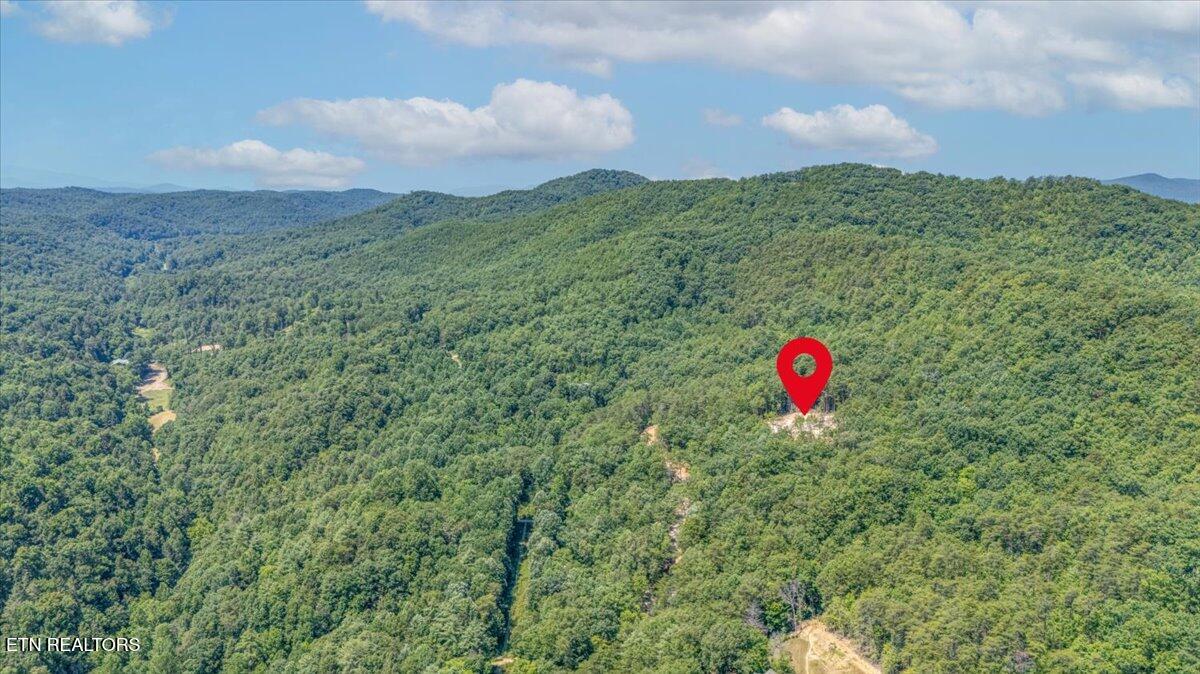 1200 Steer Creek Road Tellico Plains TN 37385